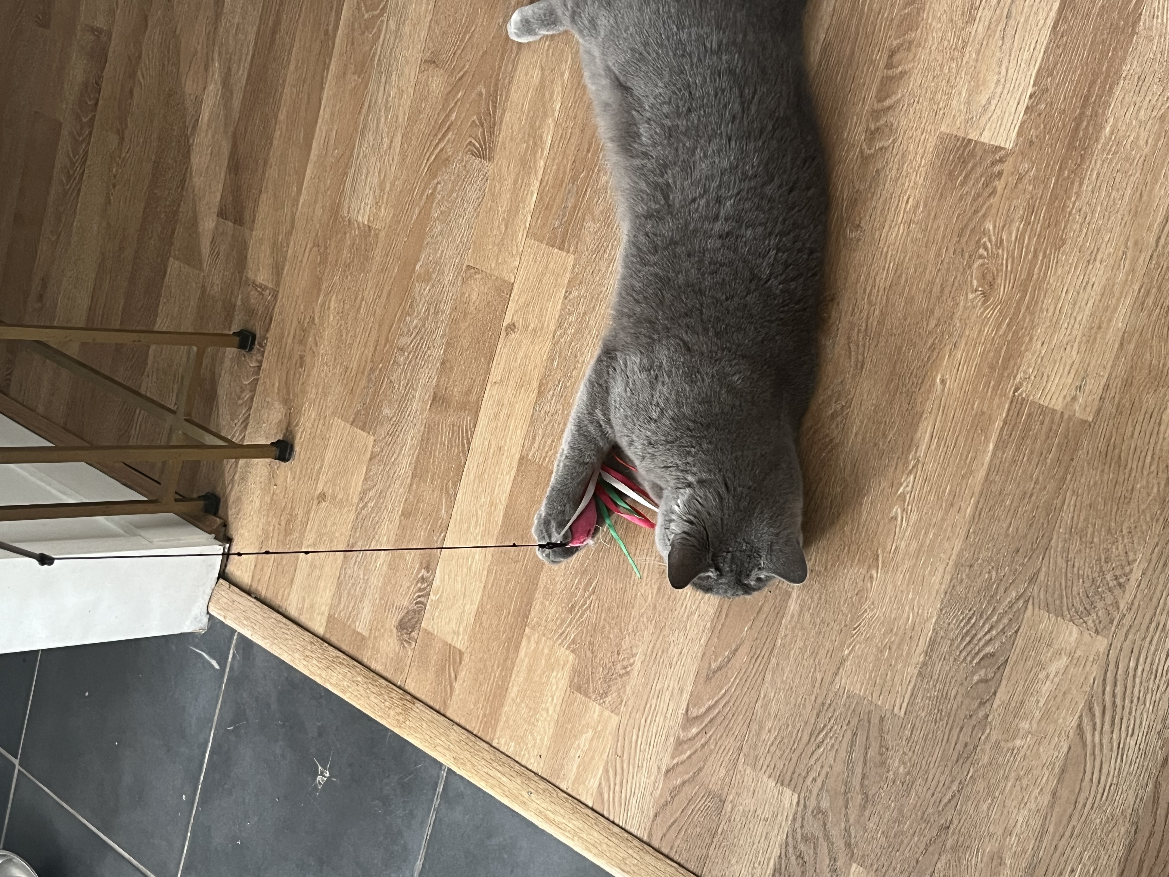 image-5