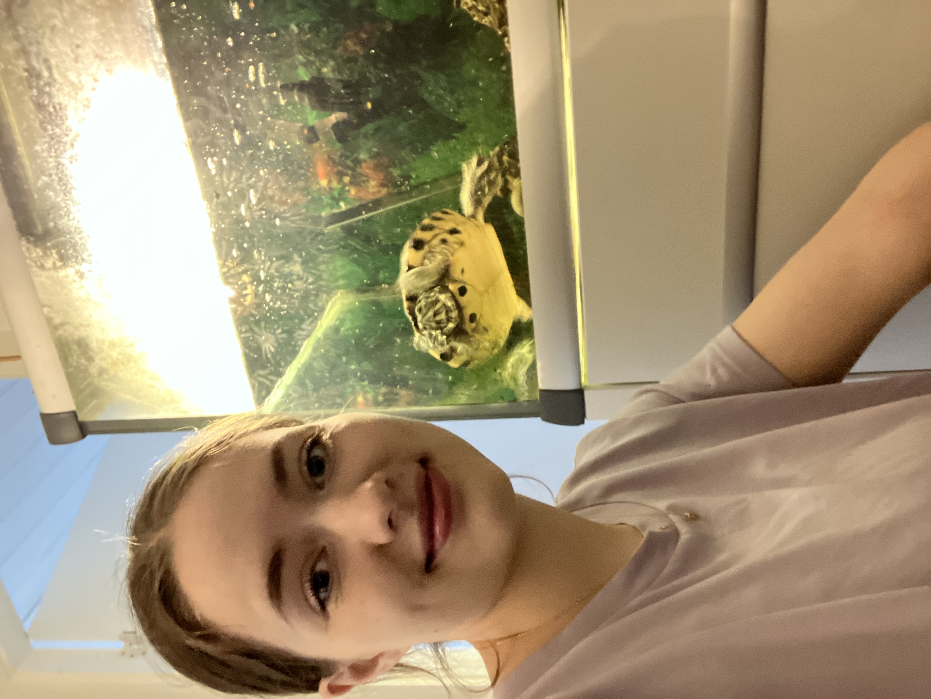 image-4