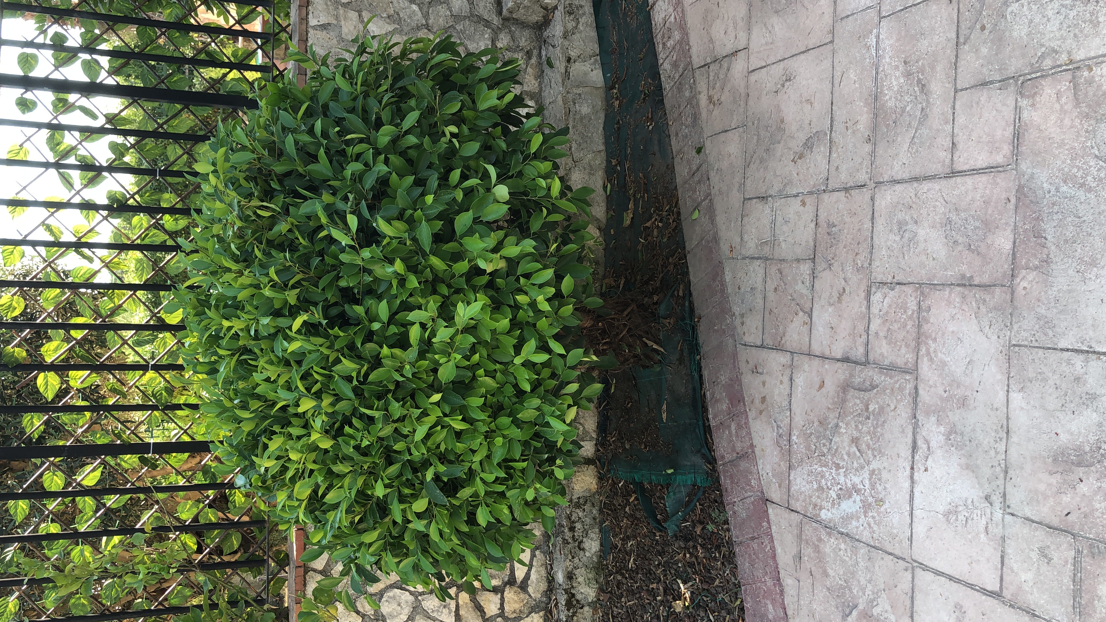 image-16