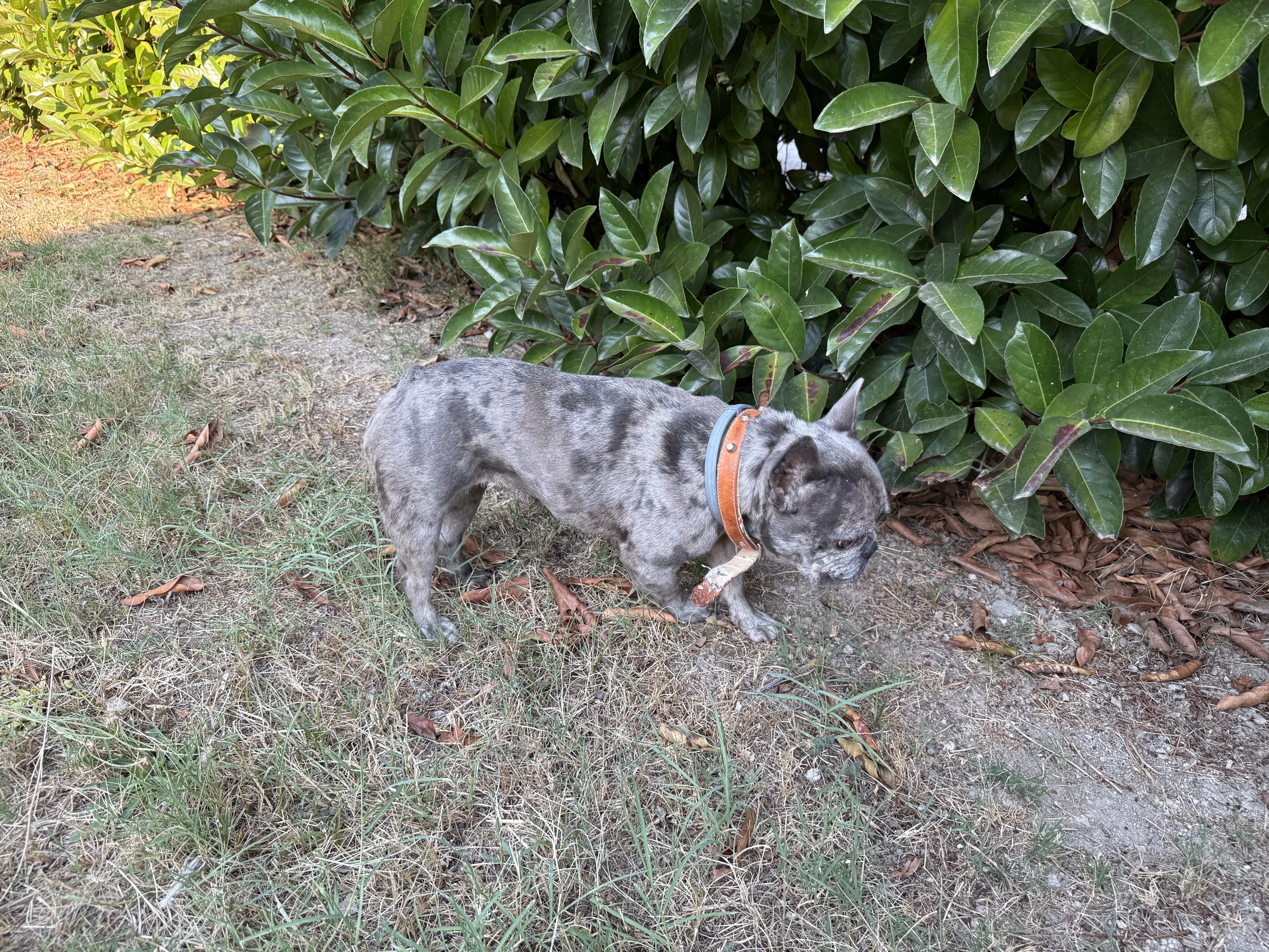 image-14
