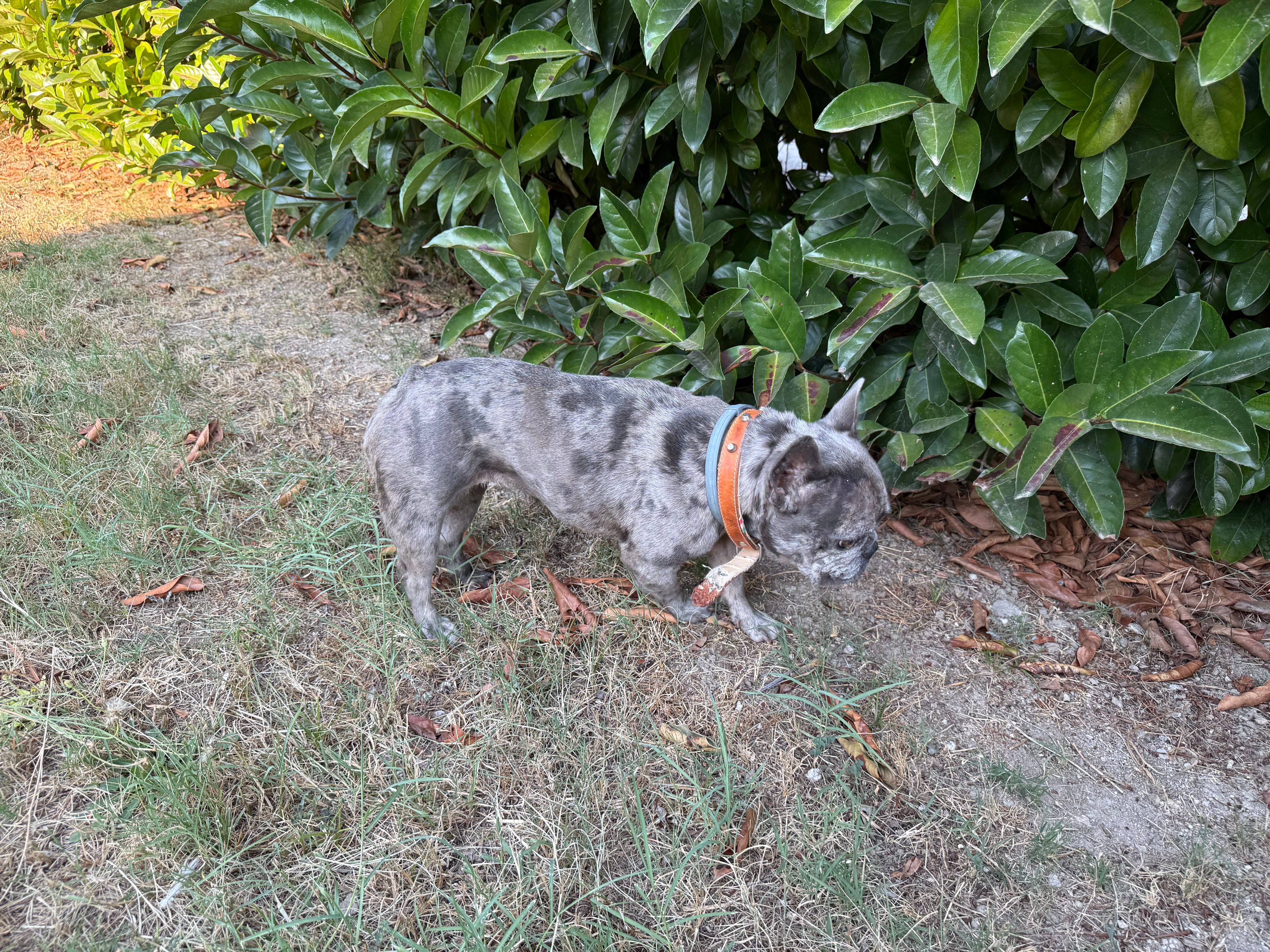 image-14