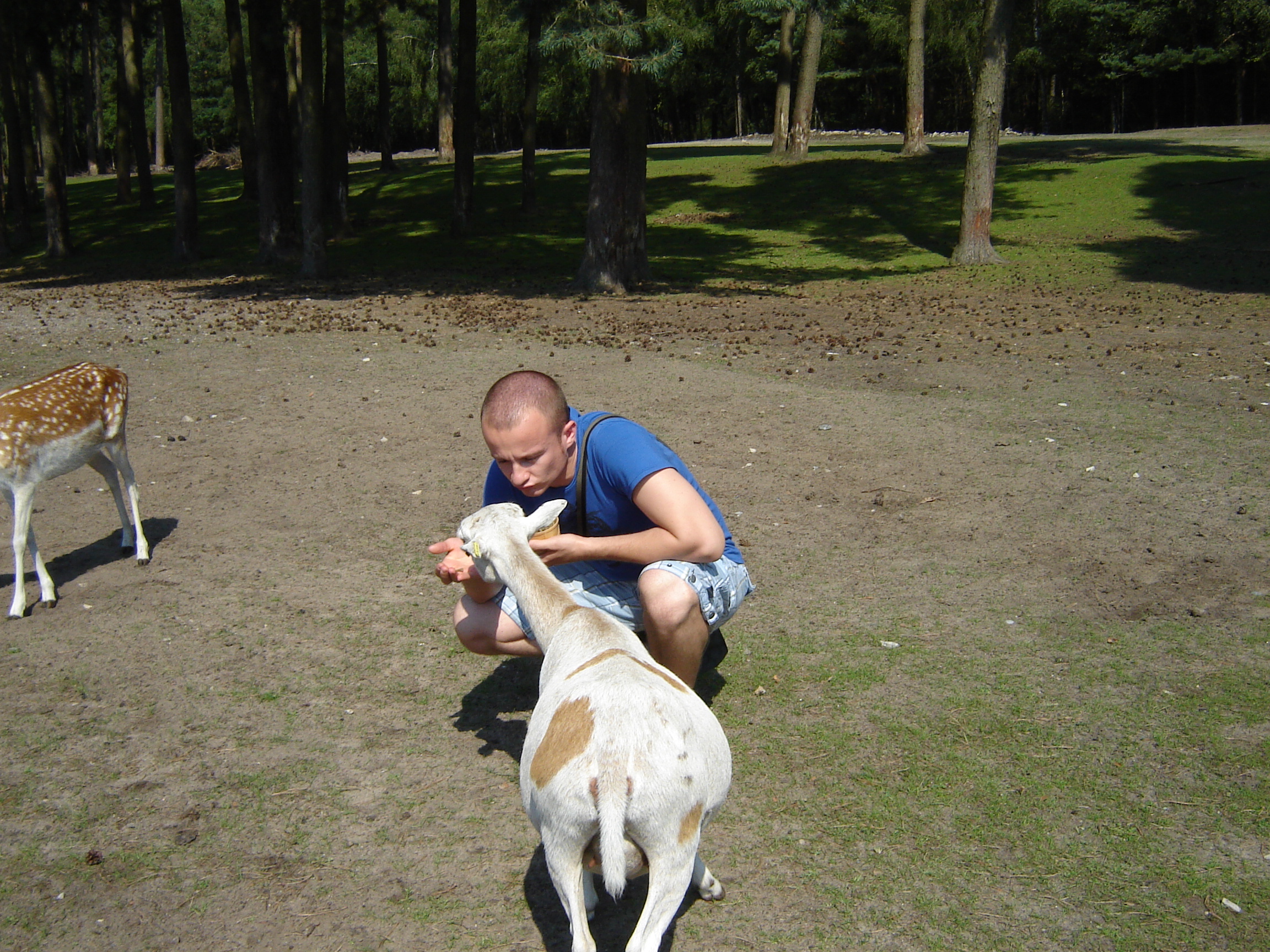 image-8