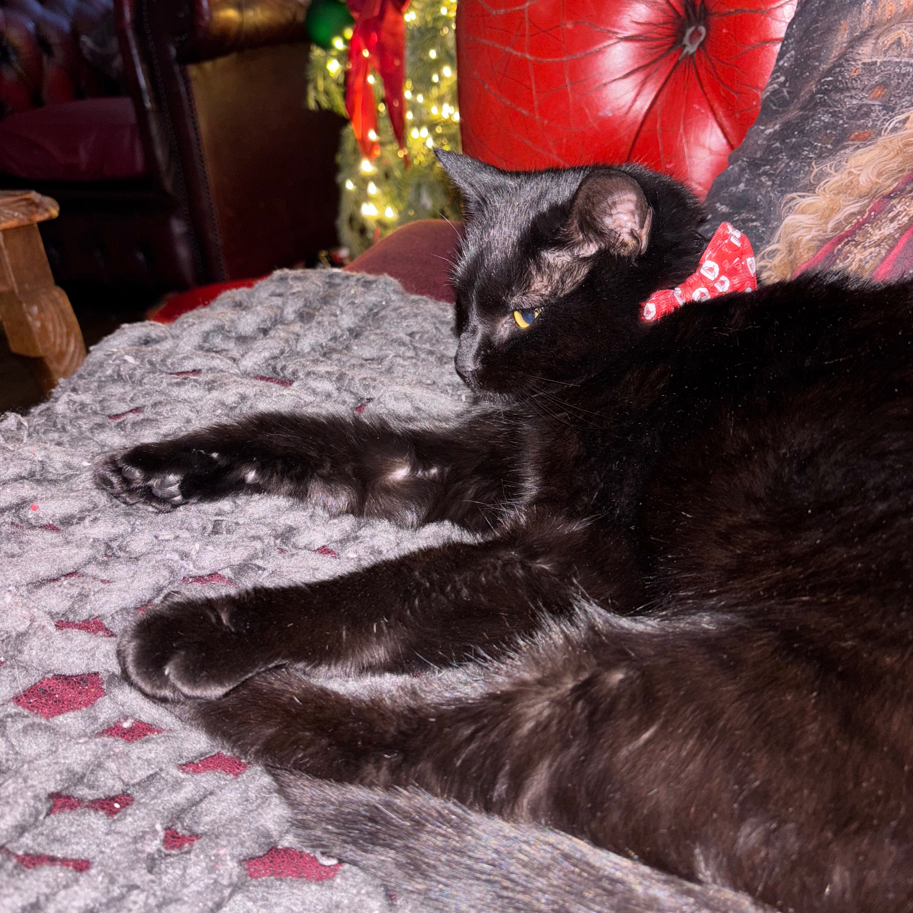 Binx 