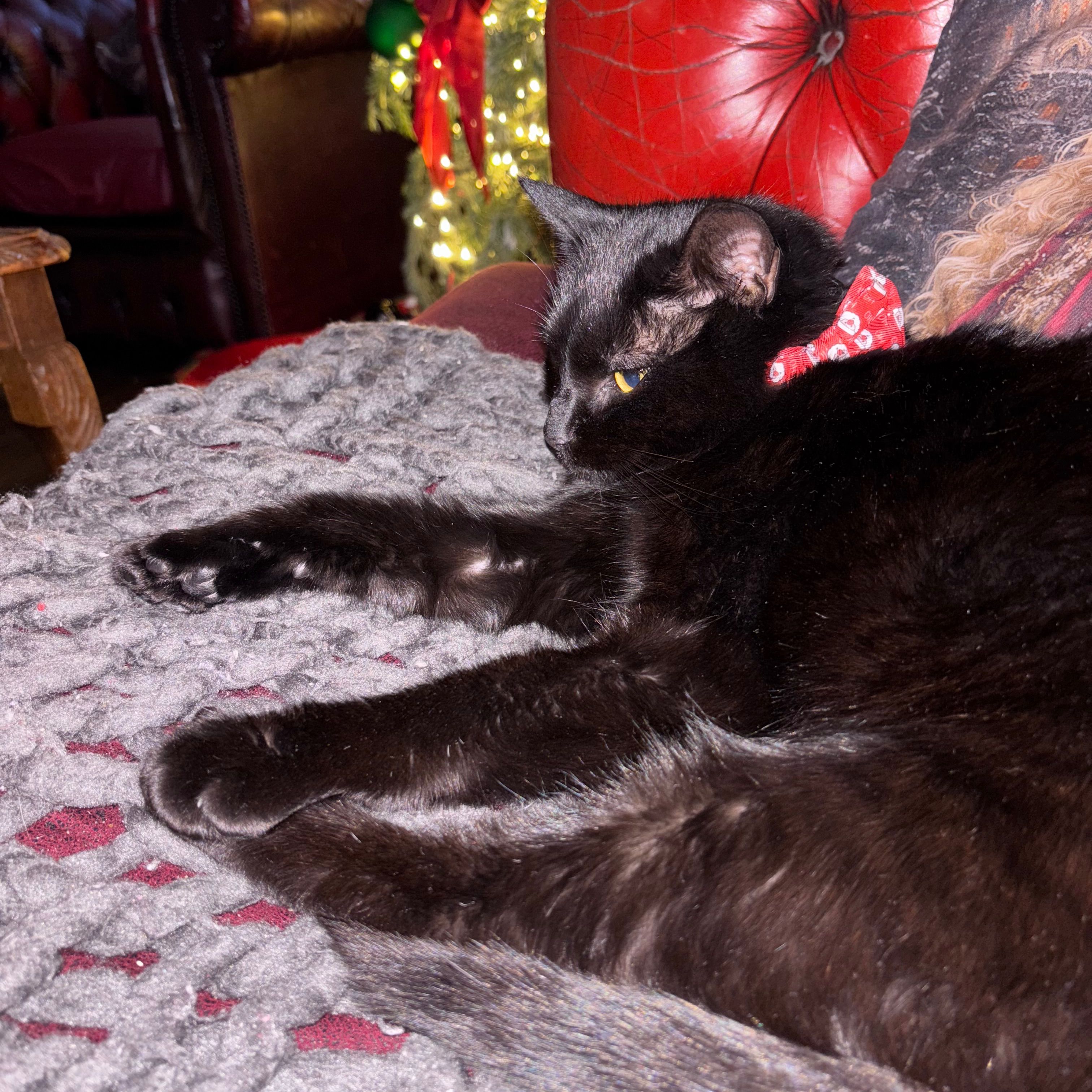Binx