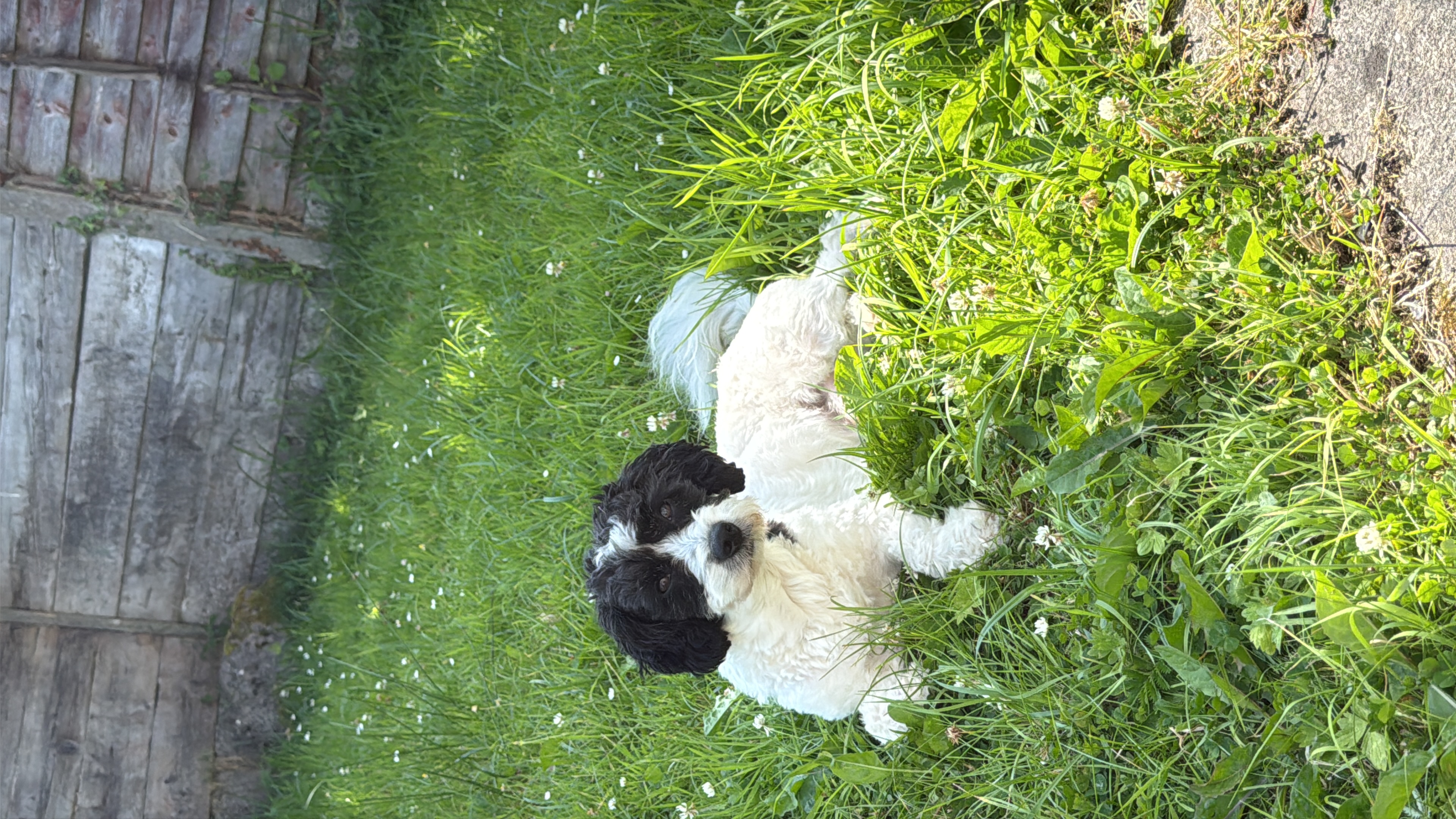 image-9