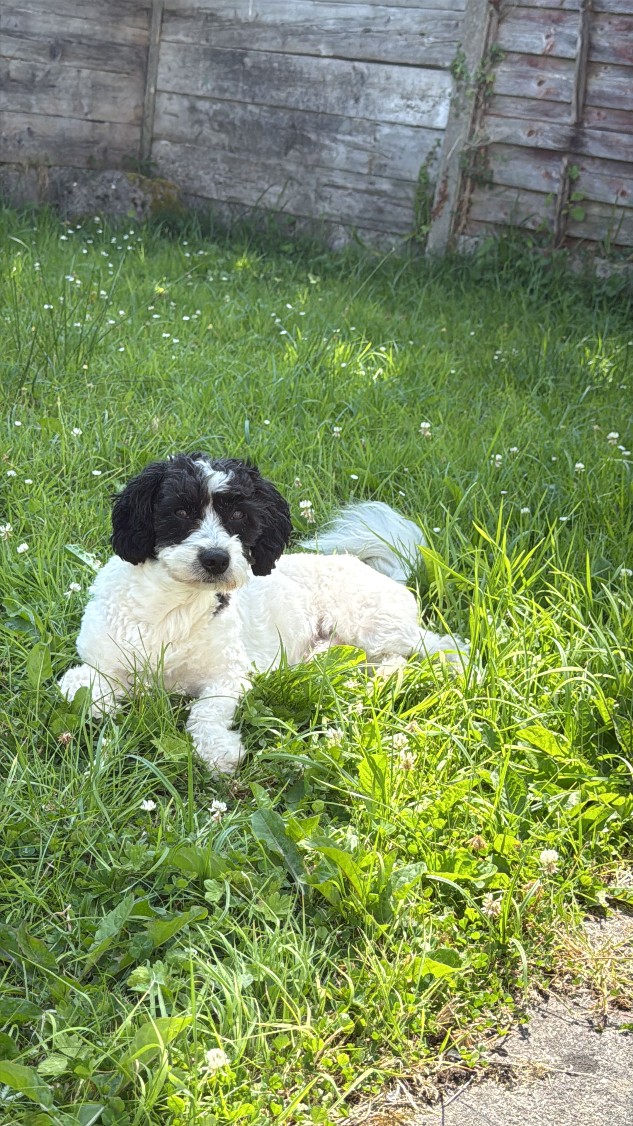 image-9