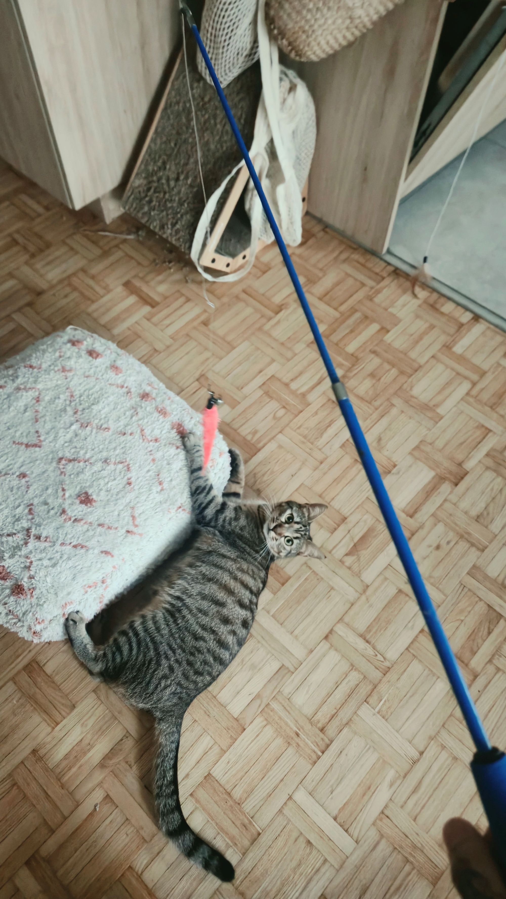 image-8