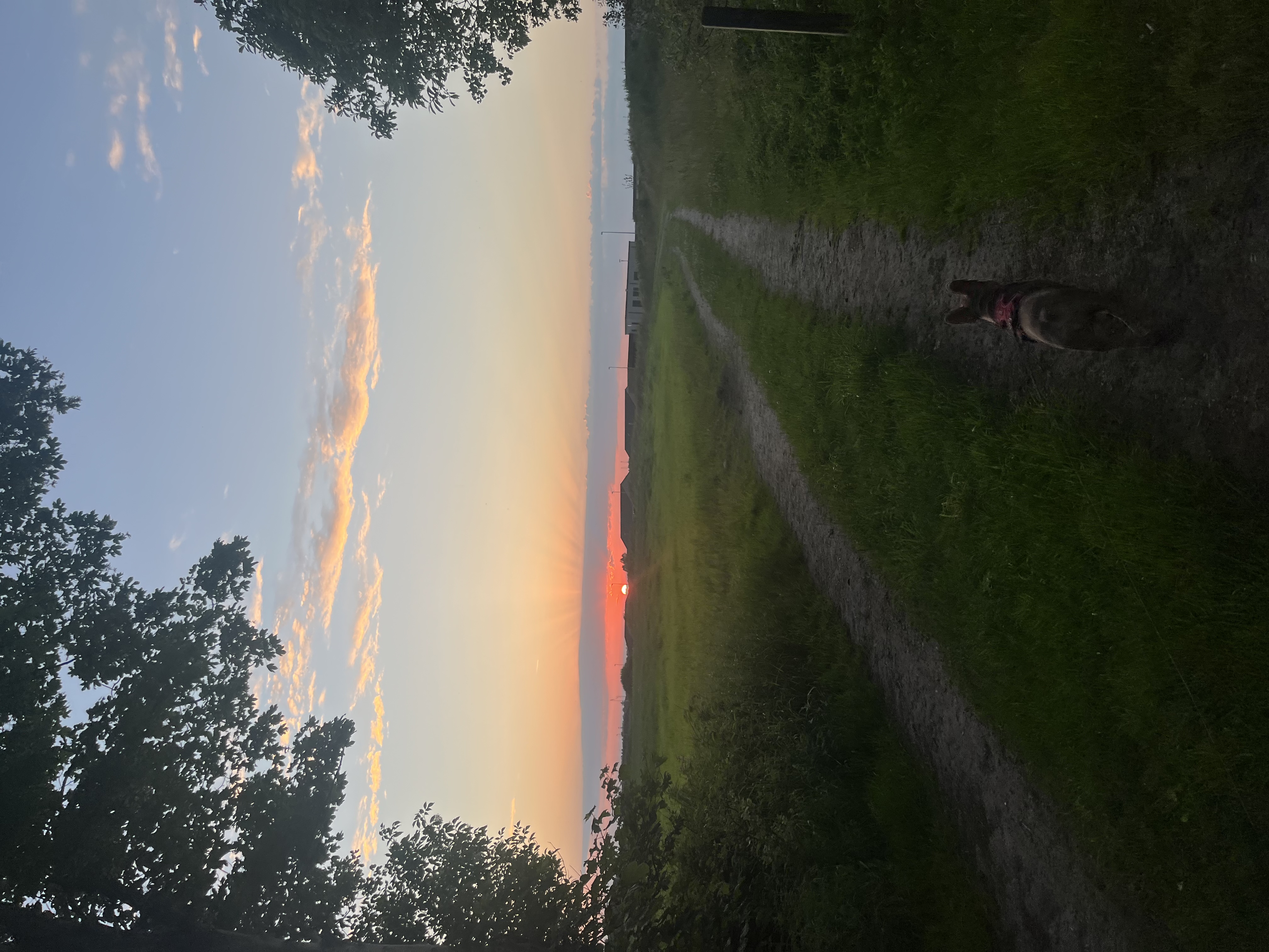 image-16