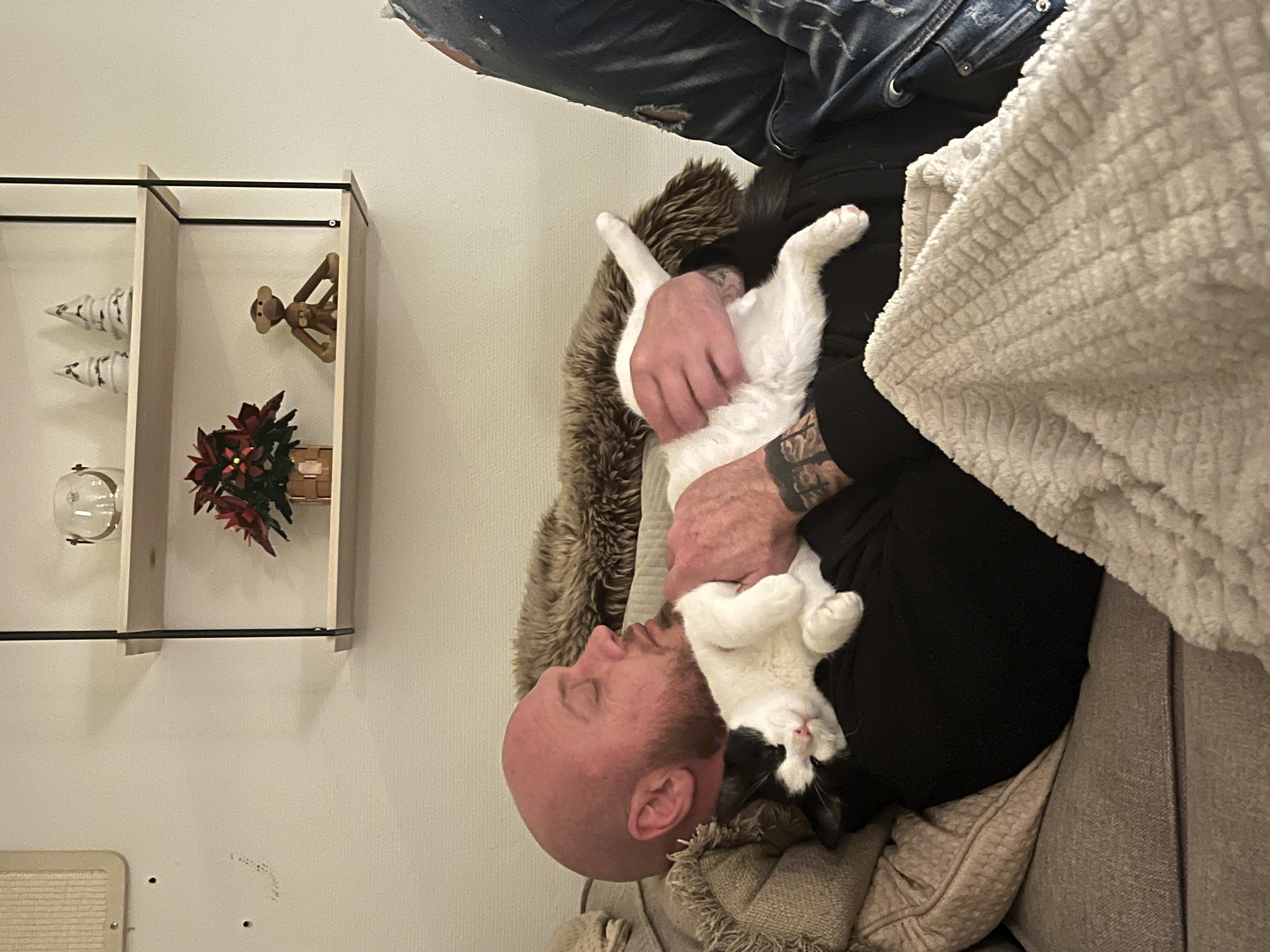 image-11