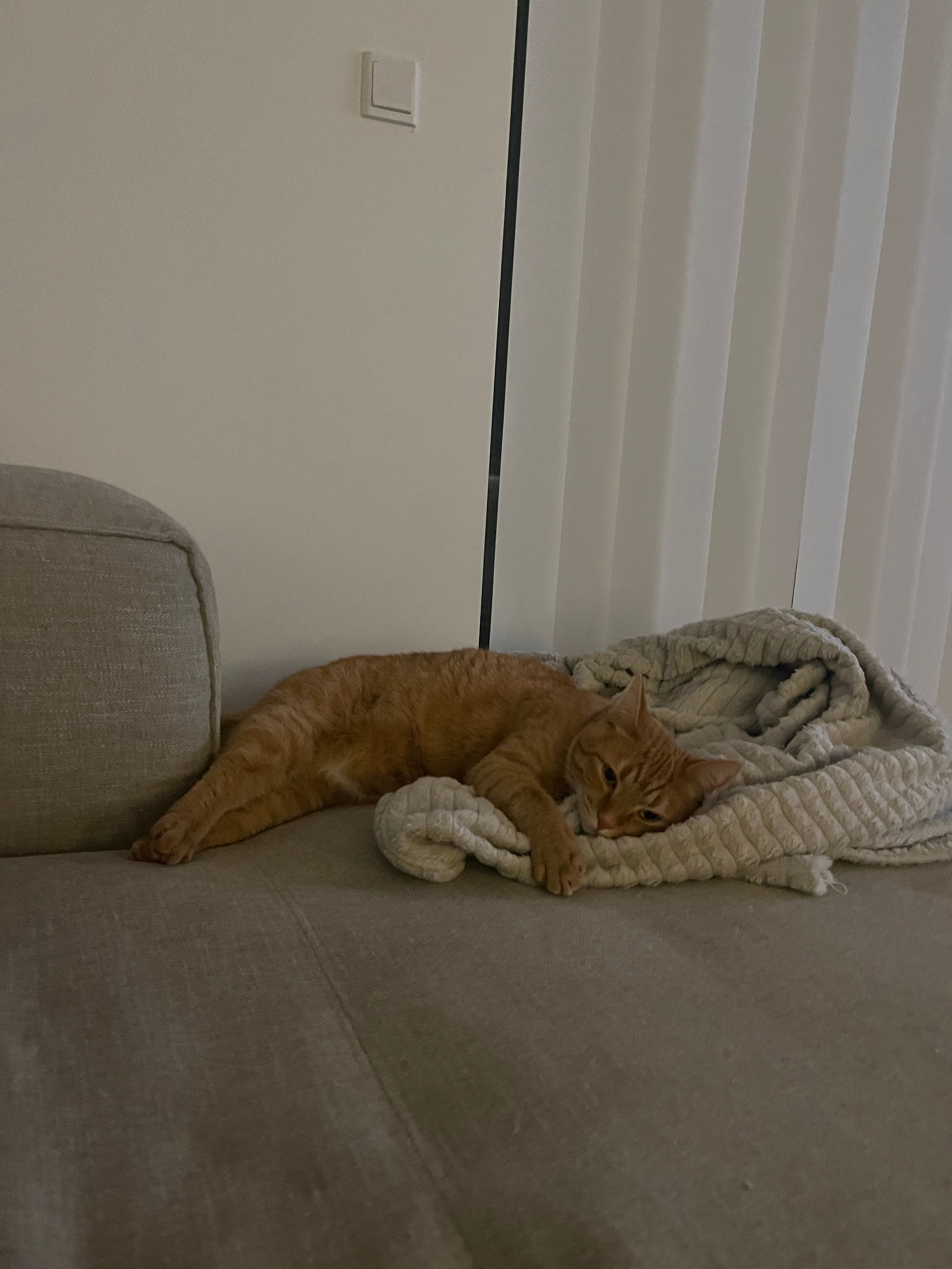 image-5