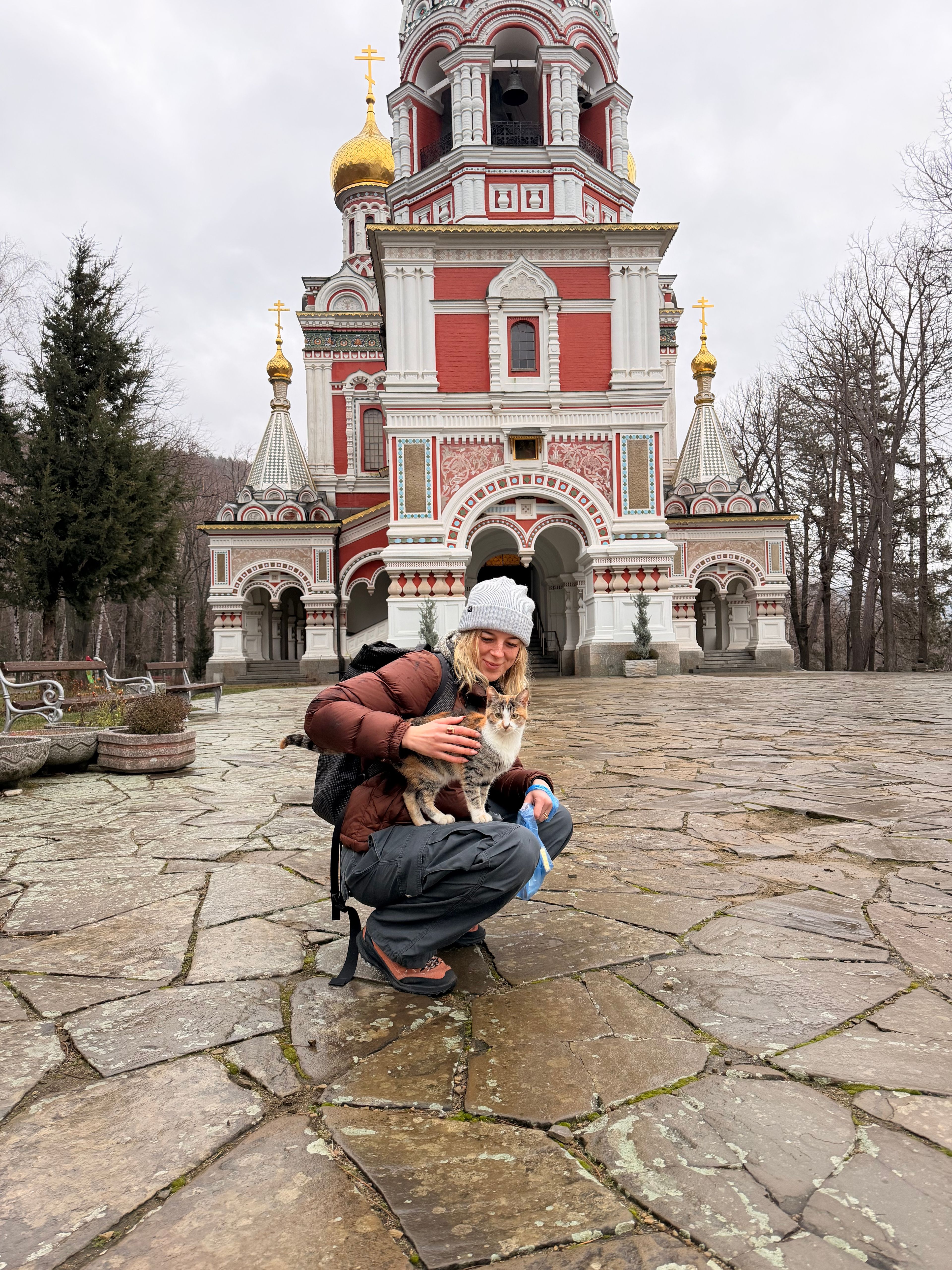 image-6