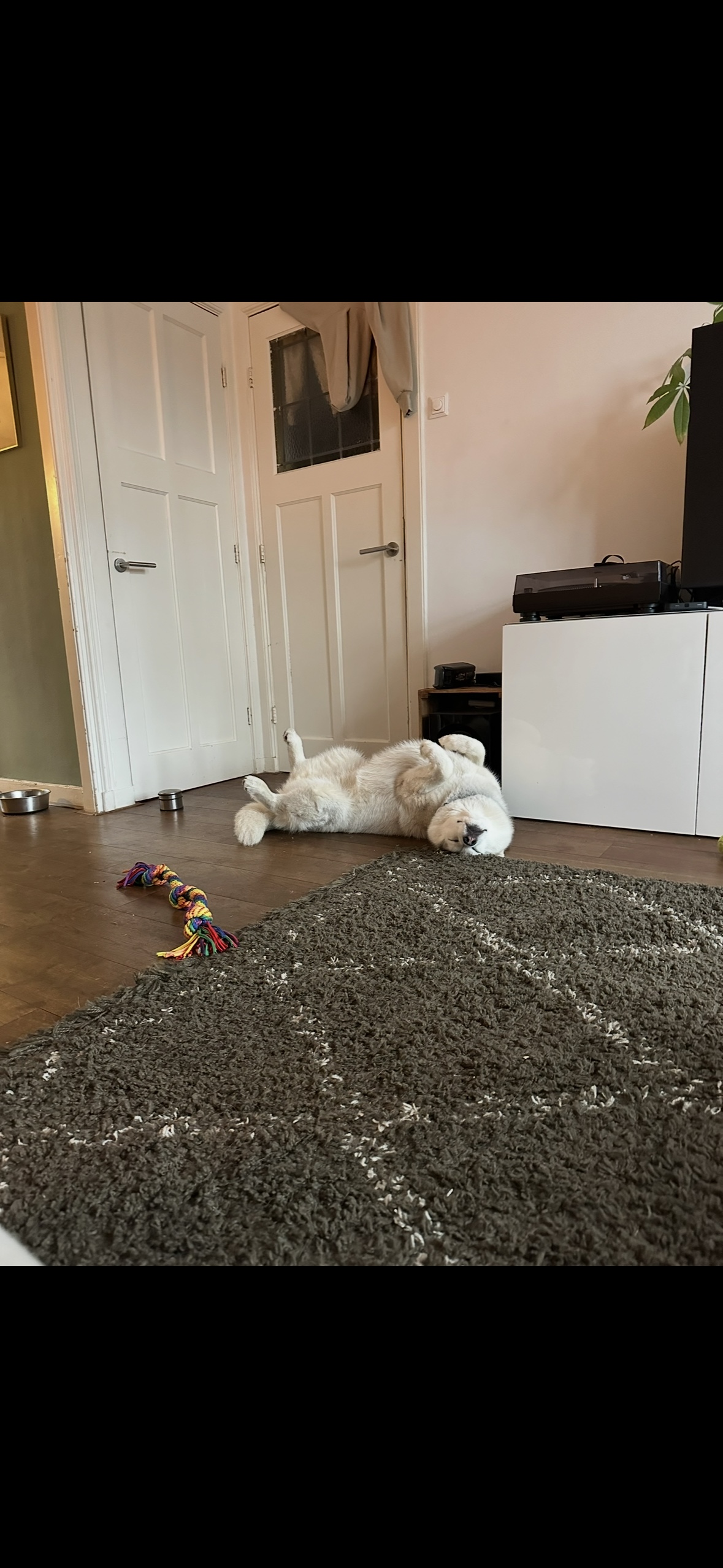 image-11