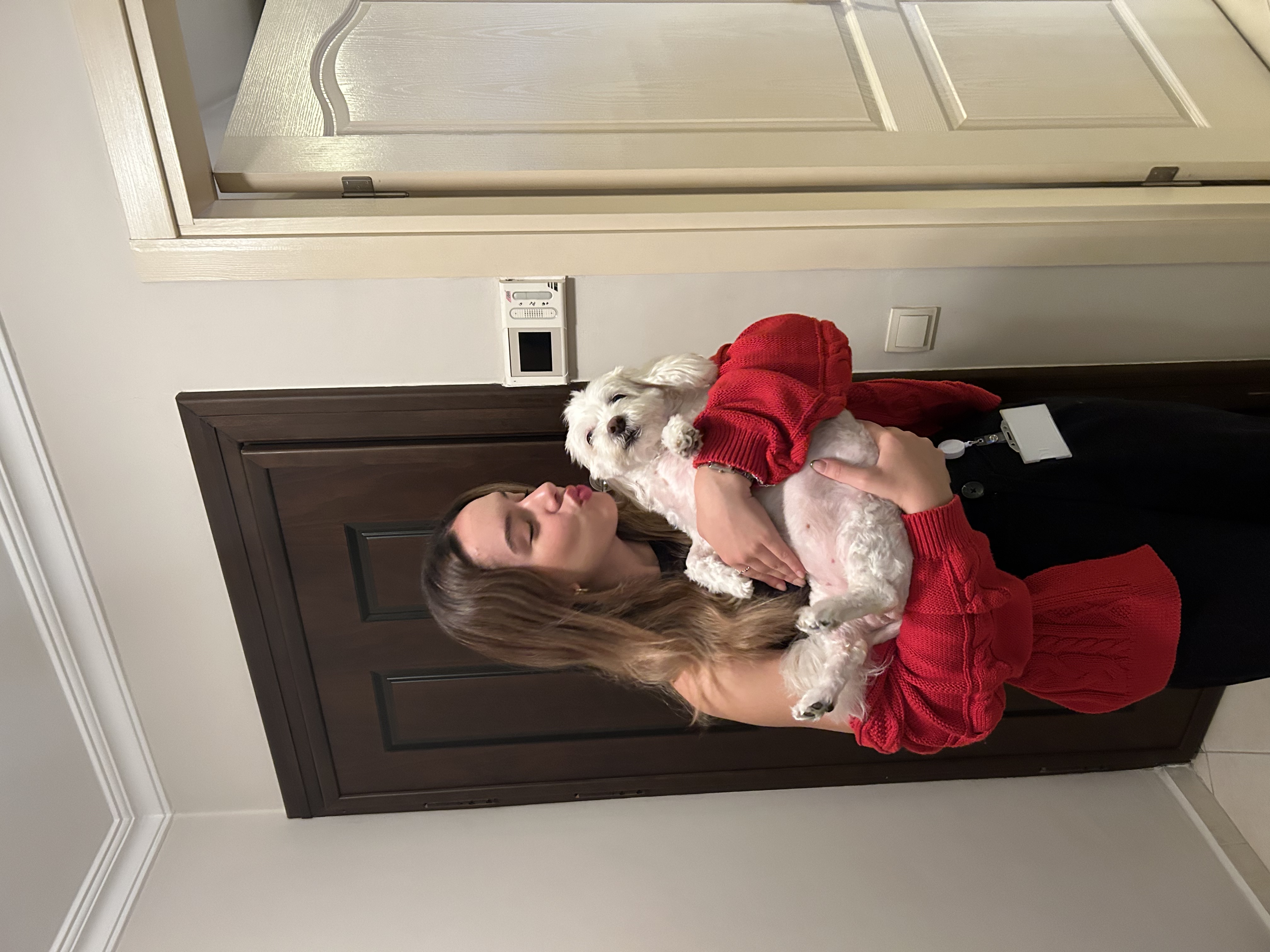 image-6