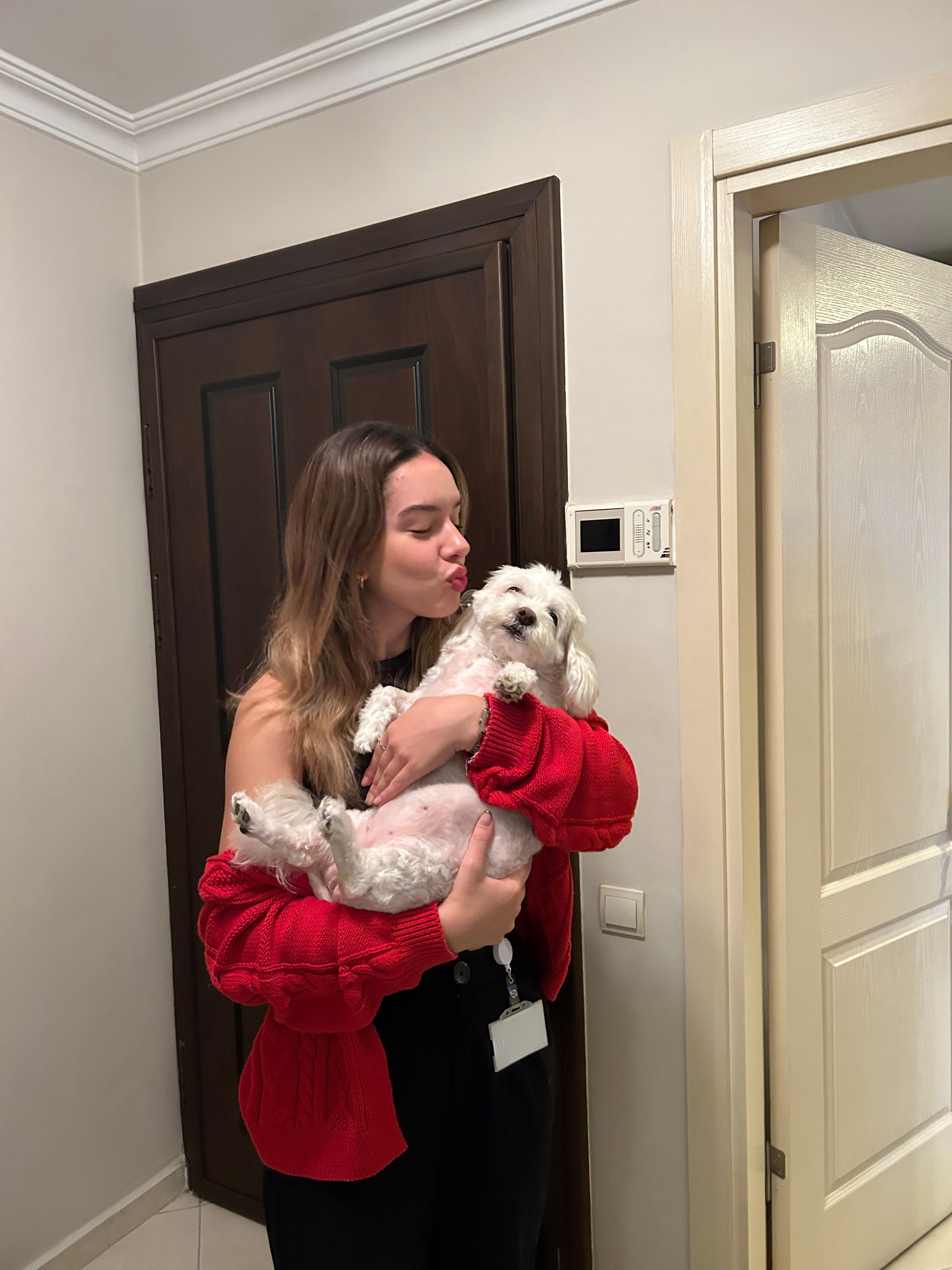 image-6