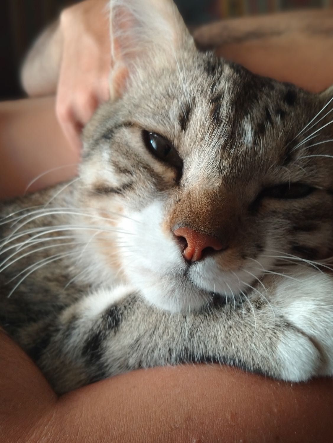image-8