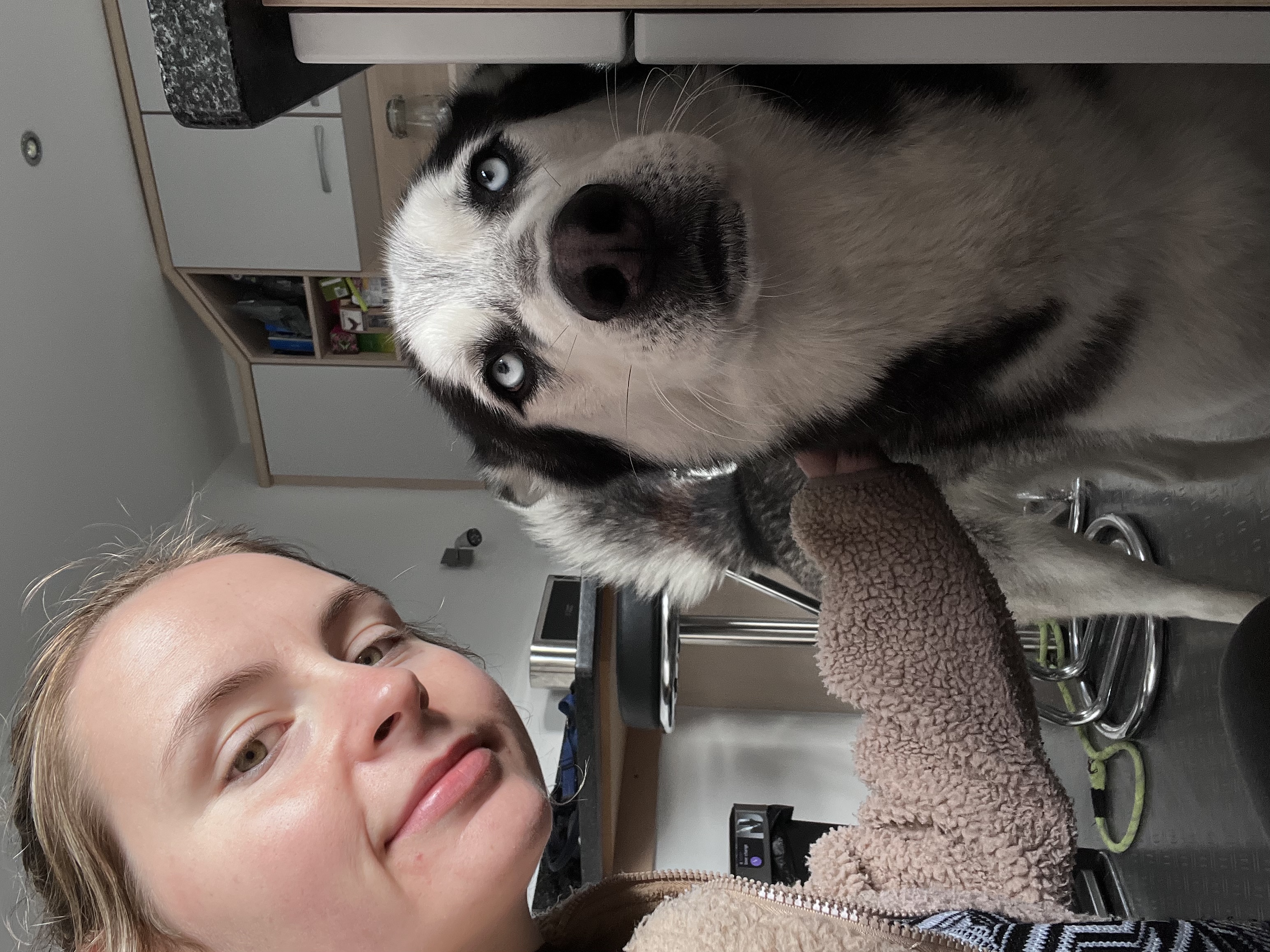 image-15