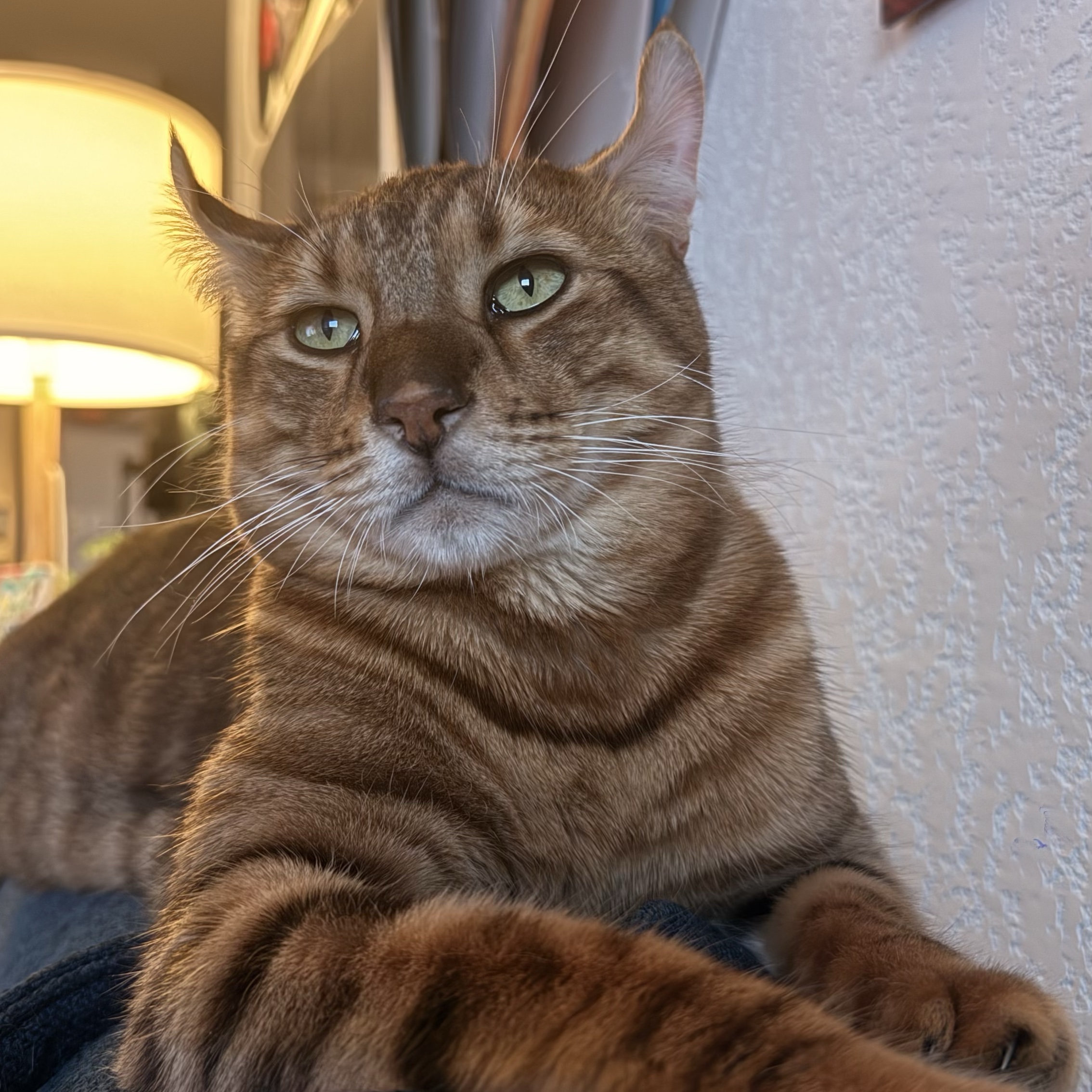 Léon