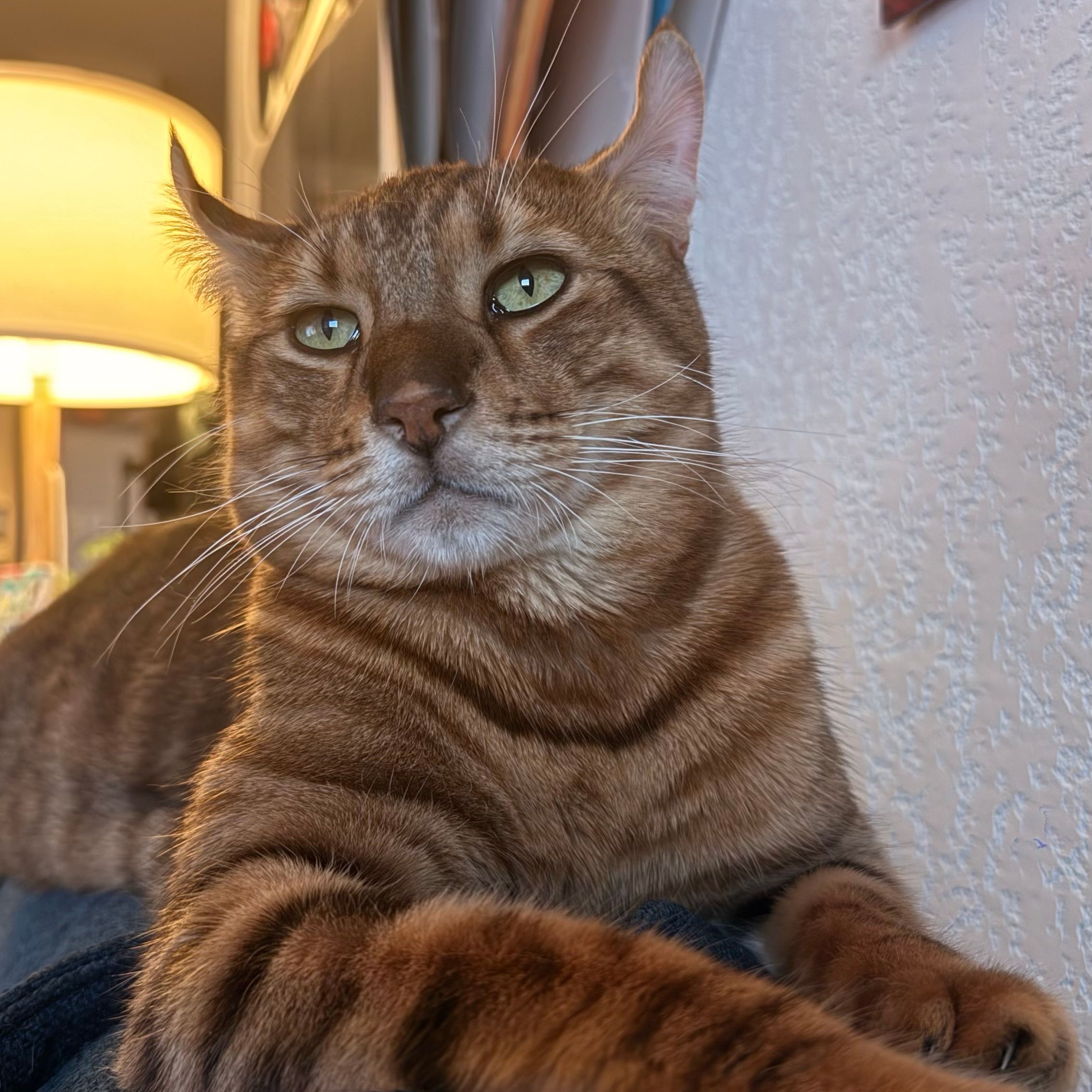 Léon