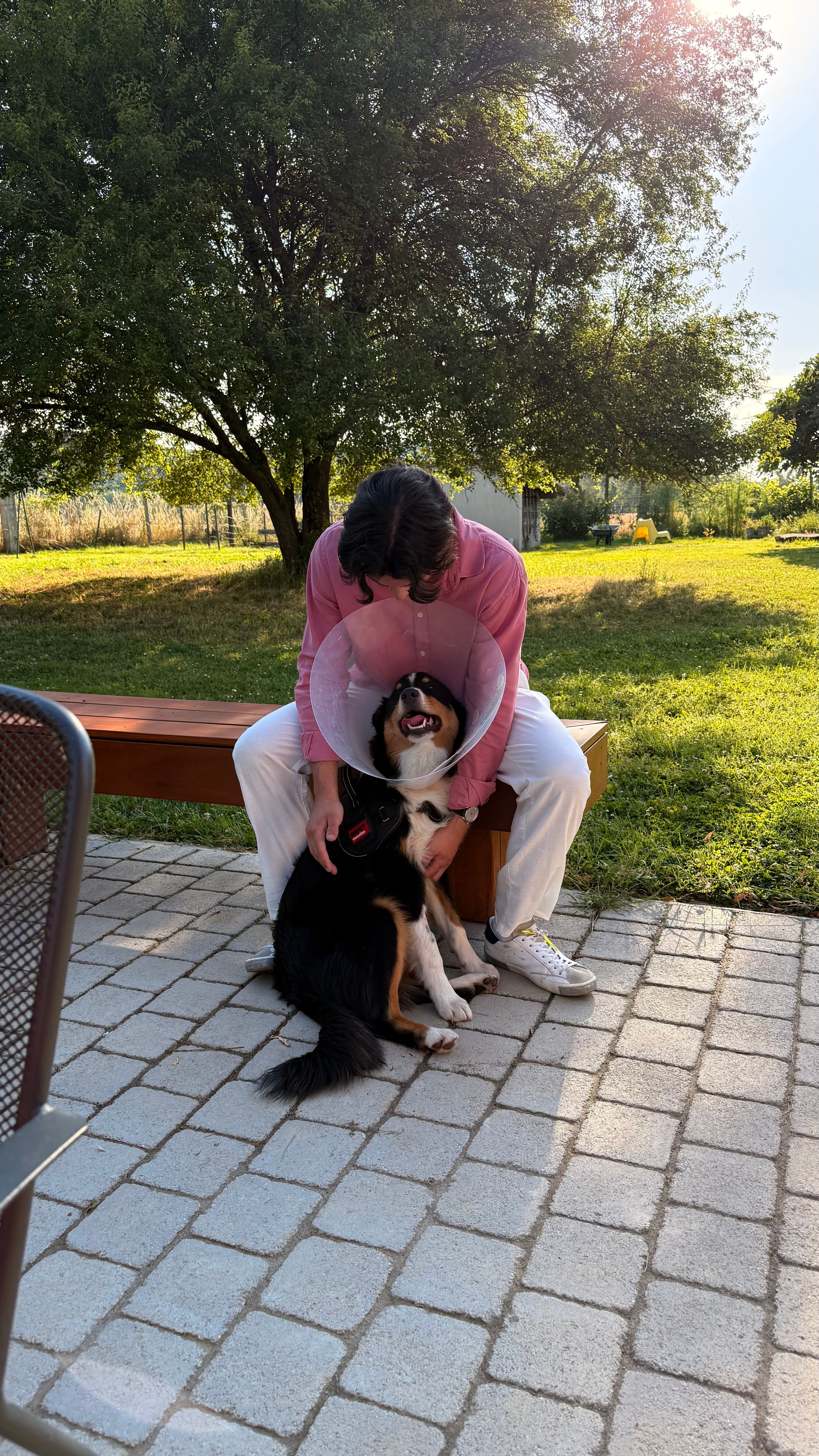 image-8