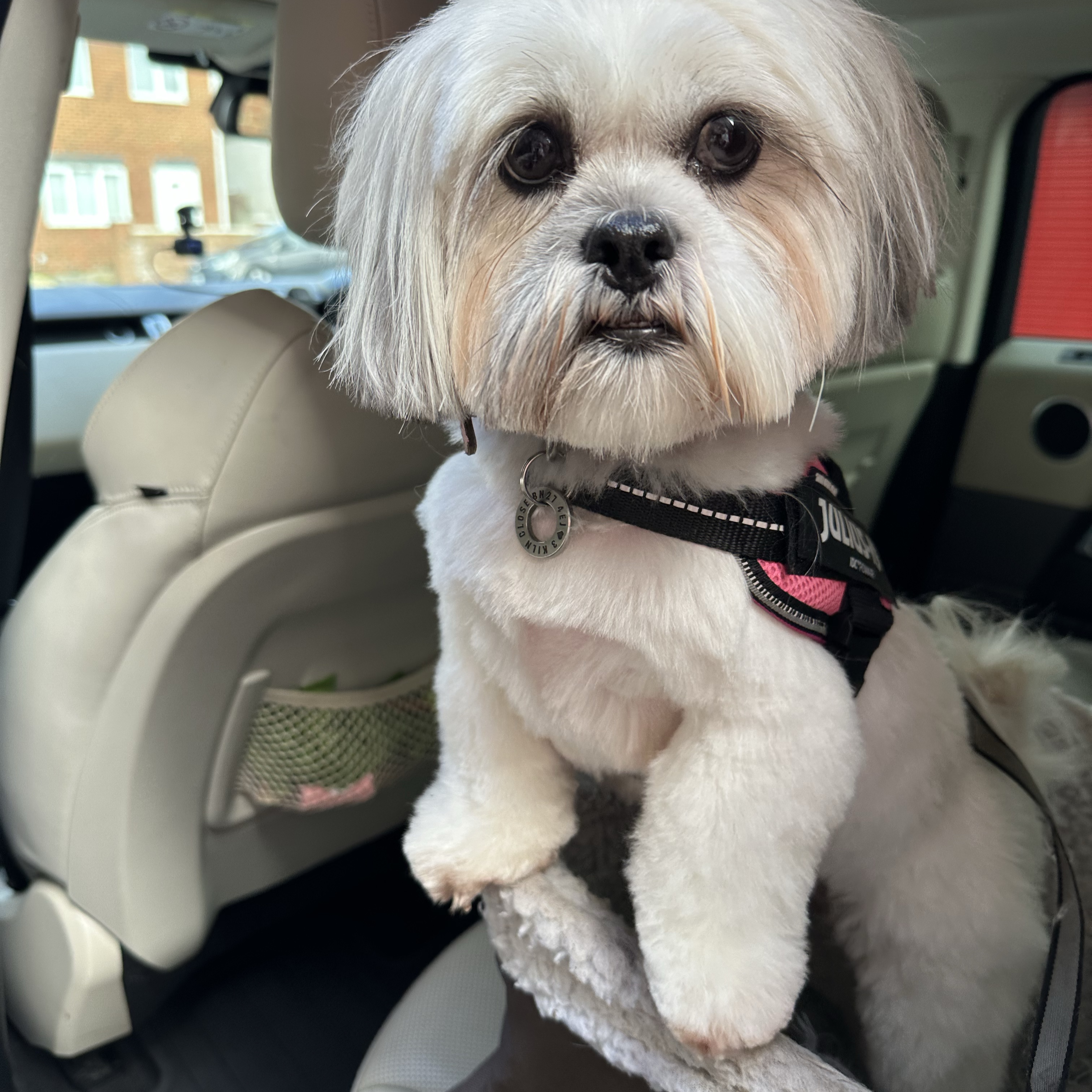 Mia 