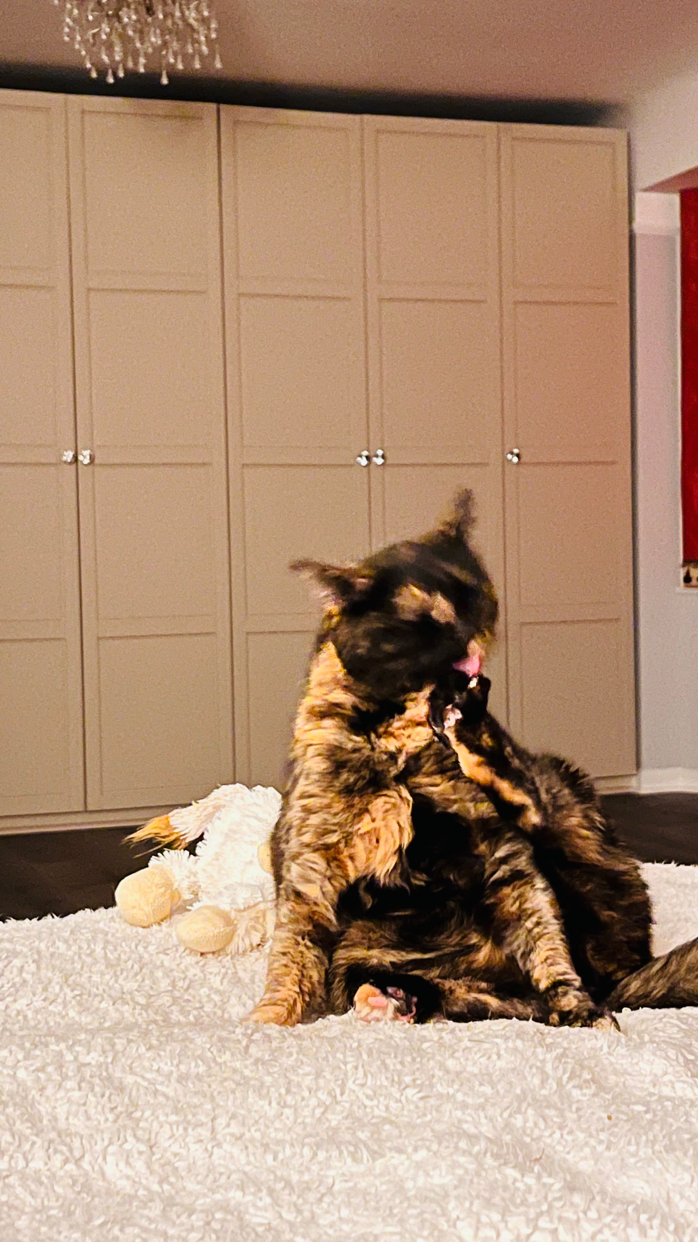 image-10