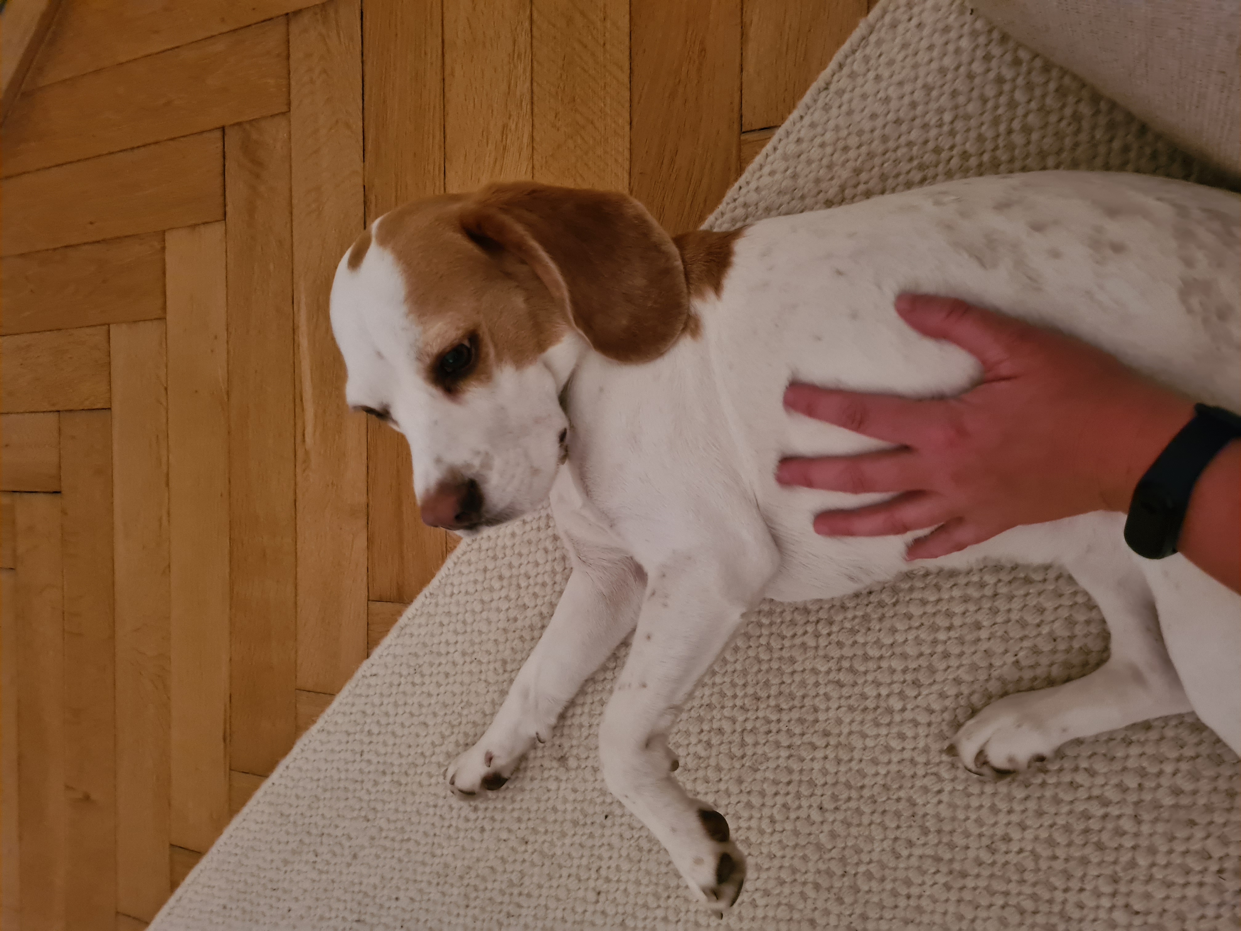 image-11