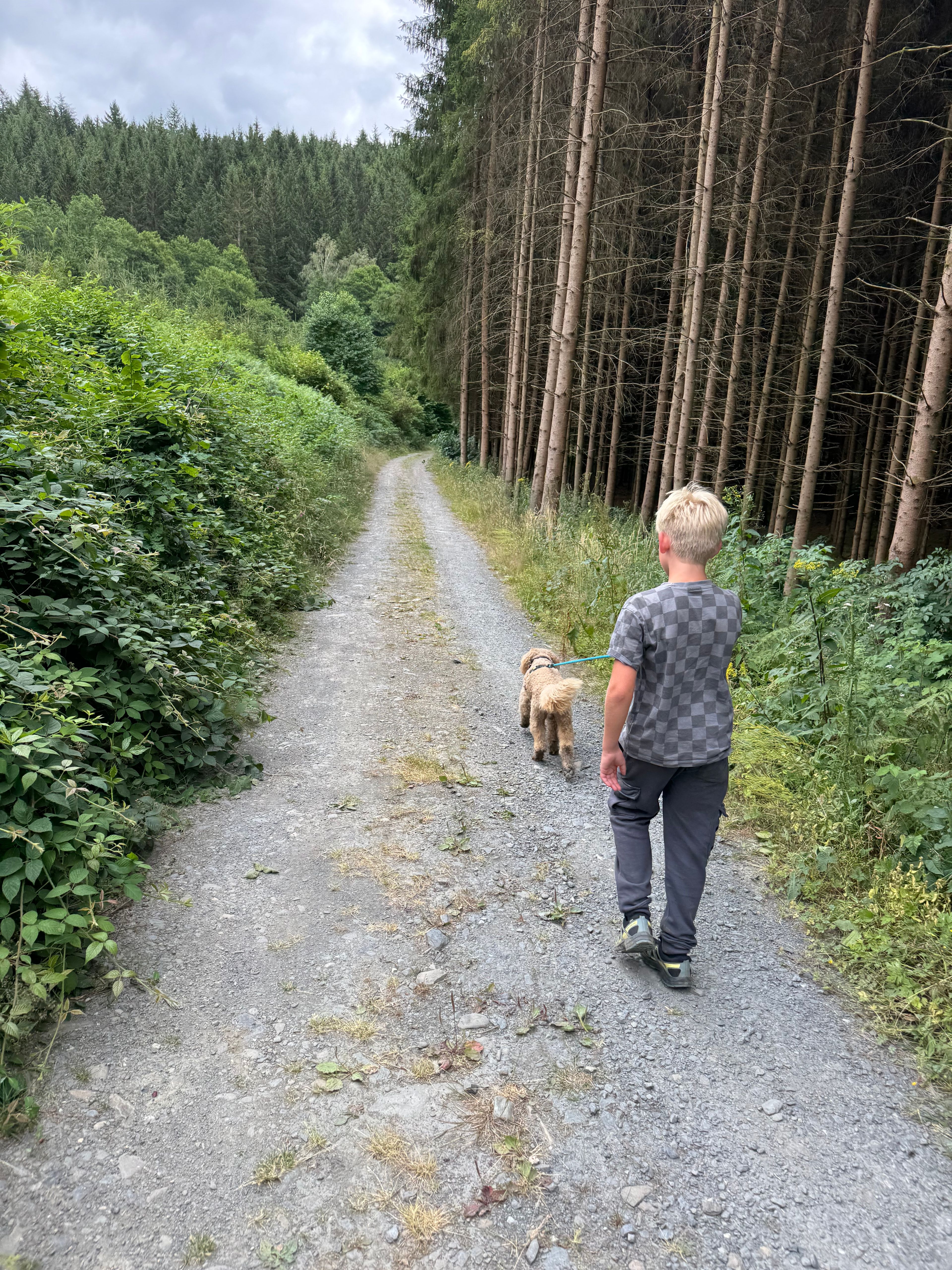 image-9