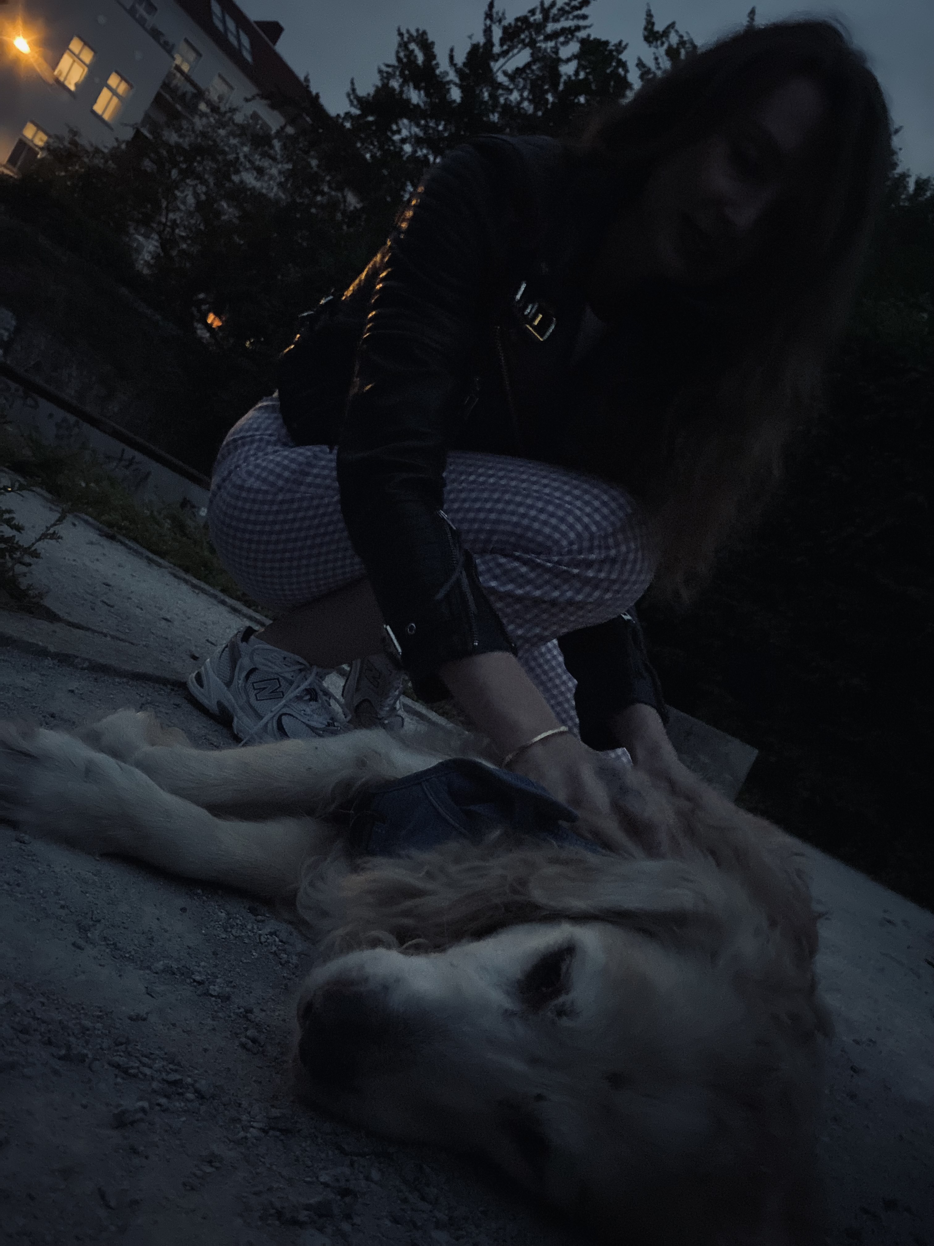 image-11