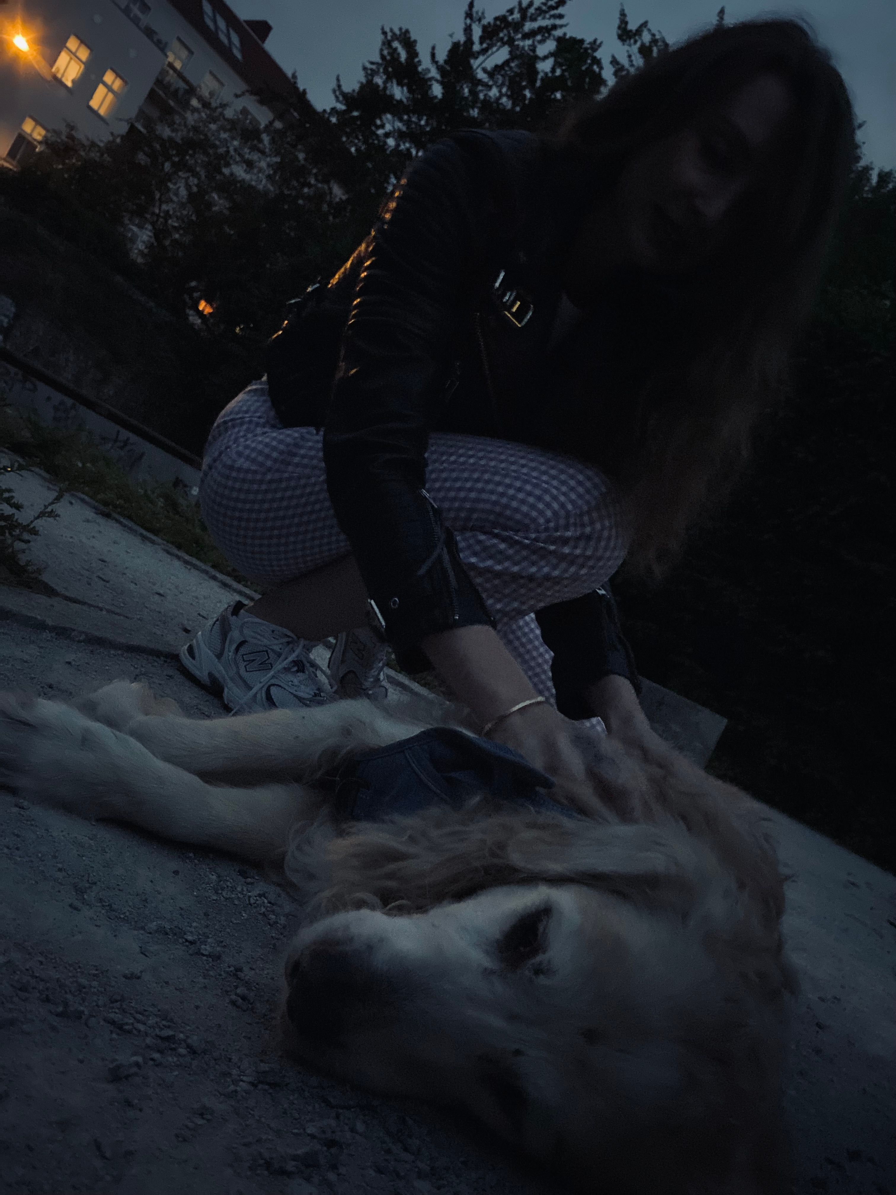 image-11