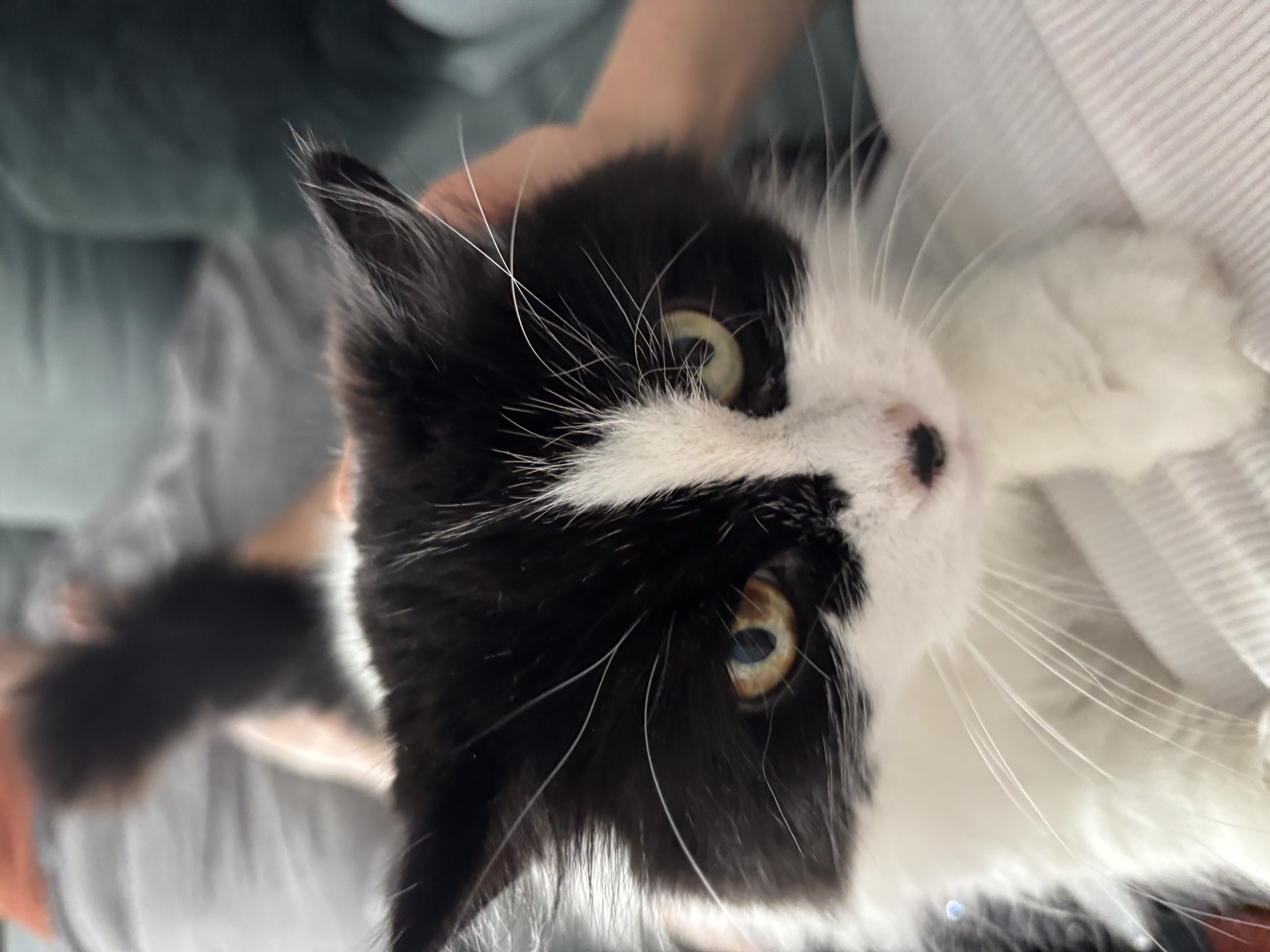 image-6