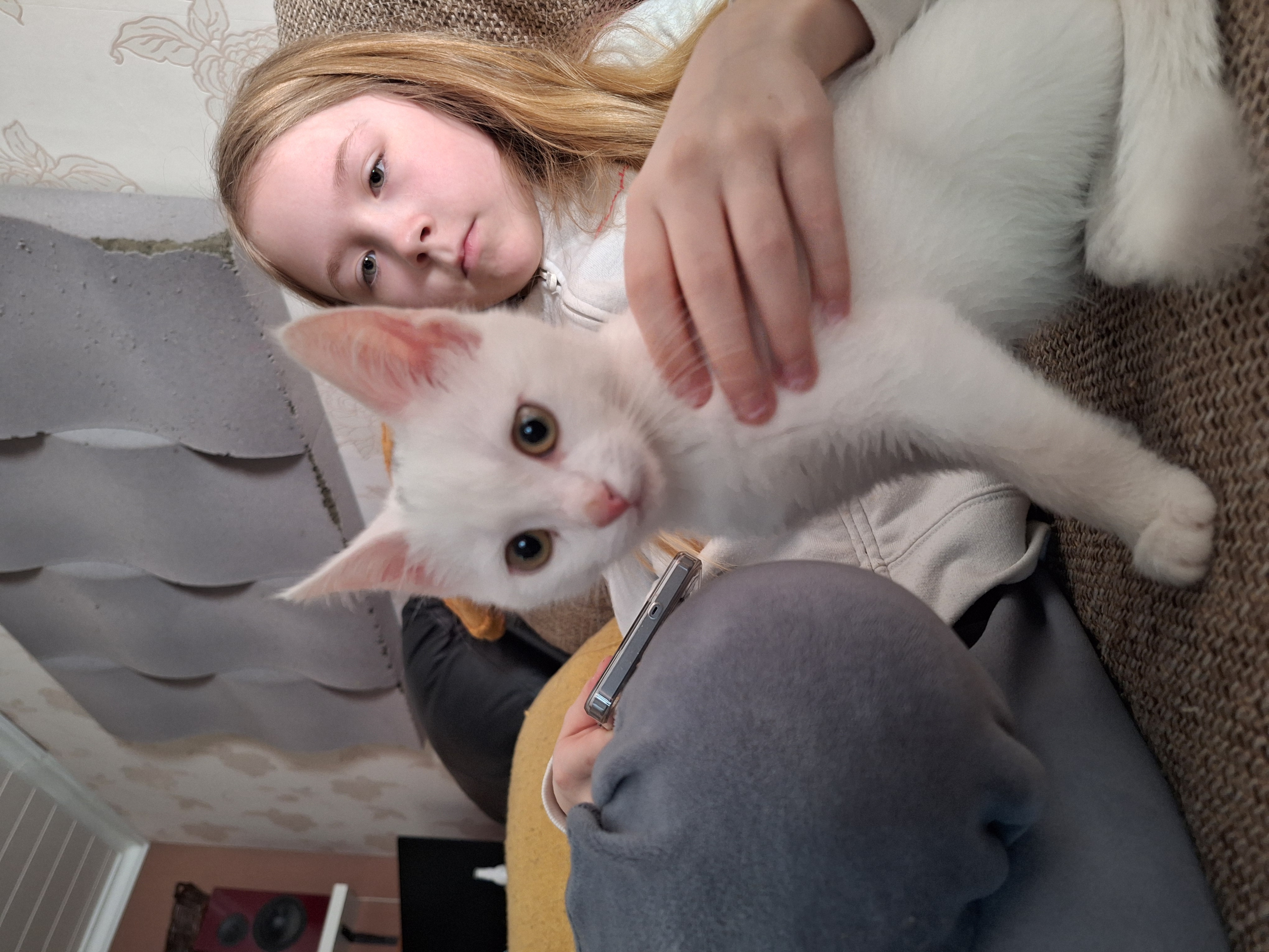 image-8