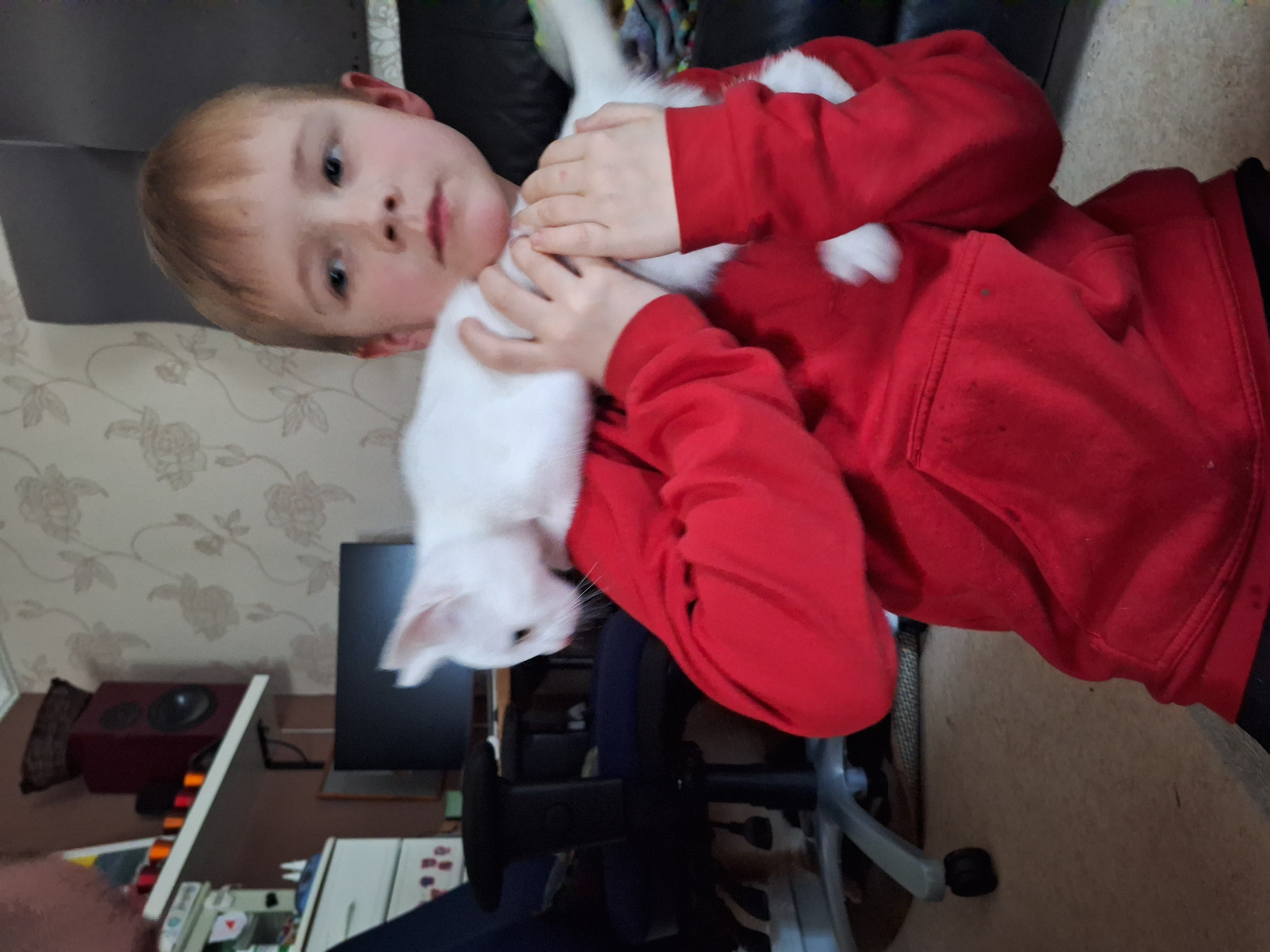 image-6