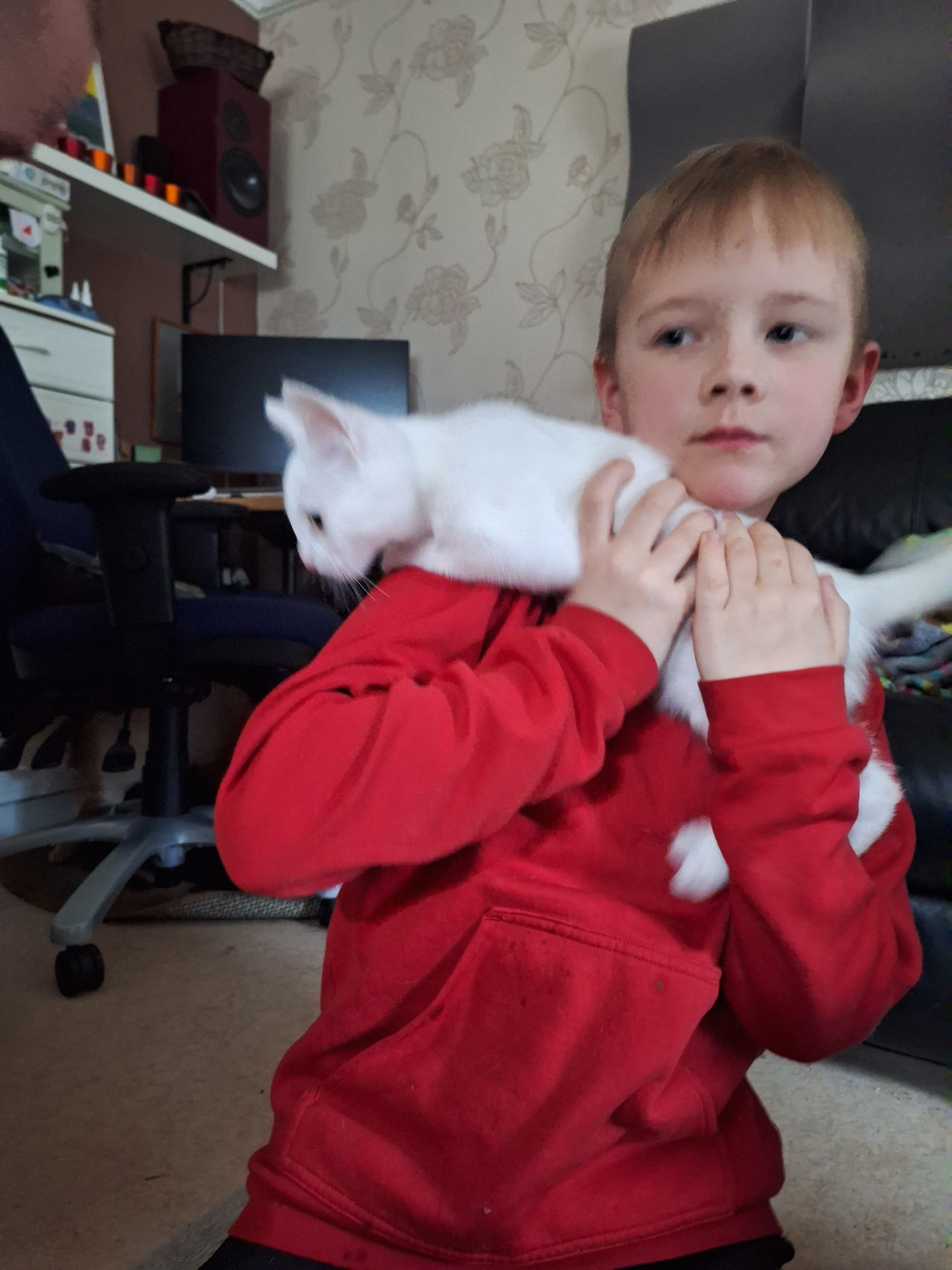 image-6