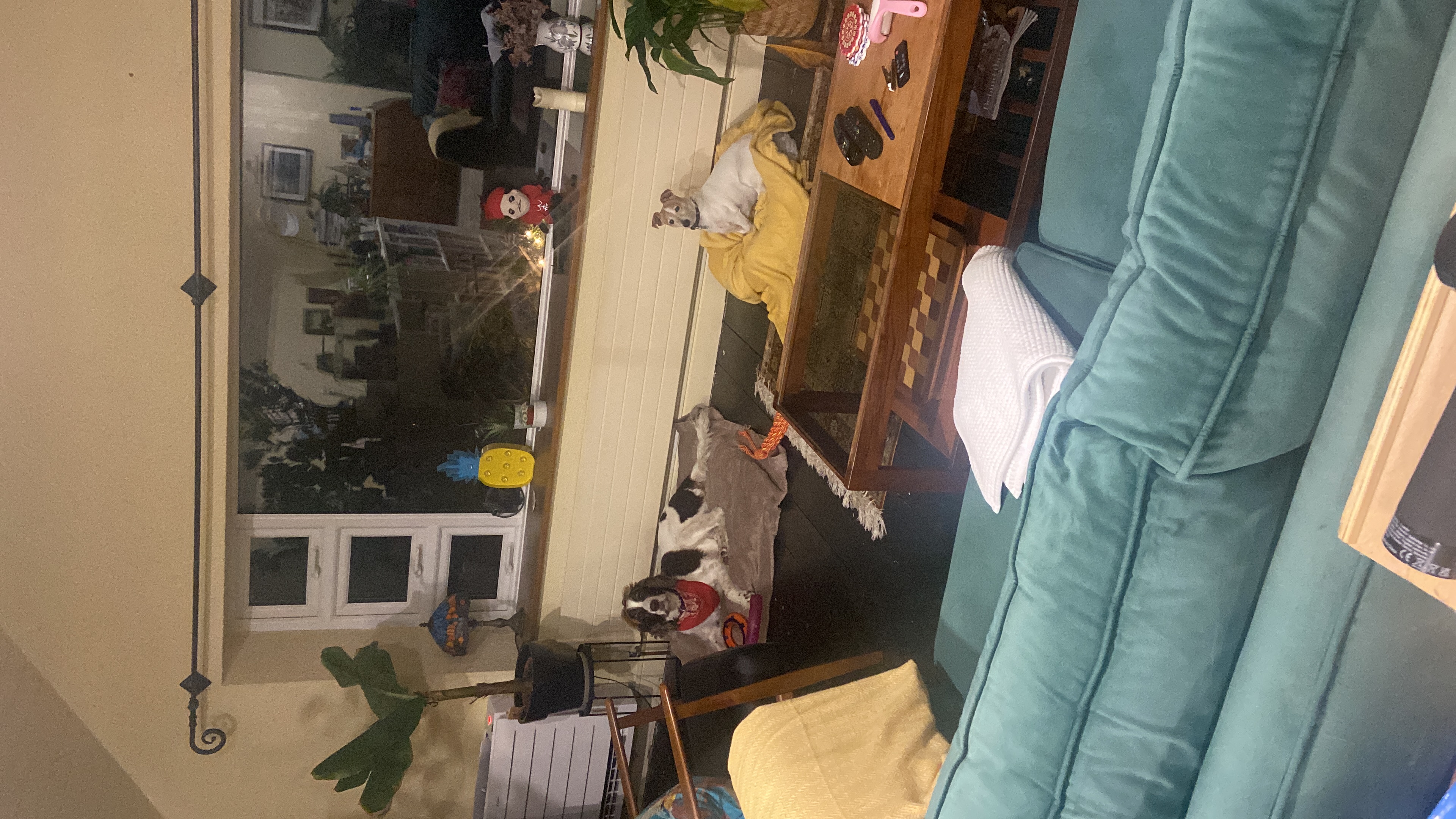 image-13