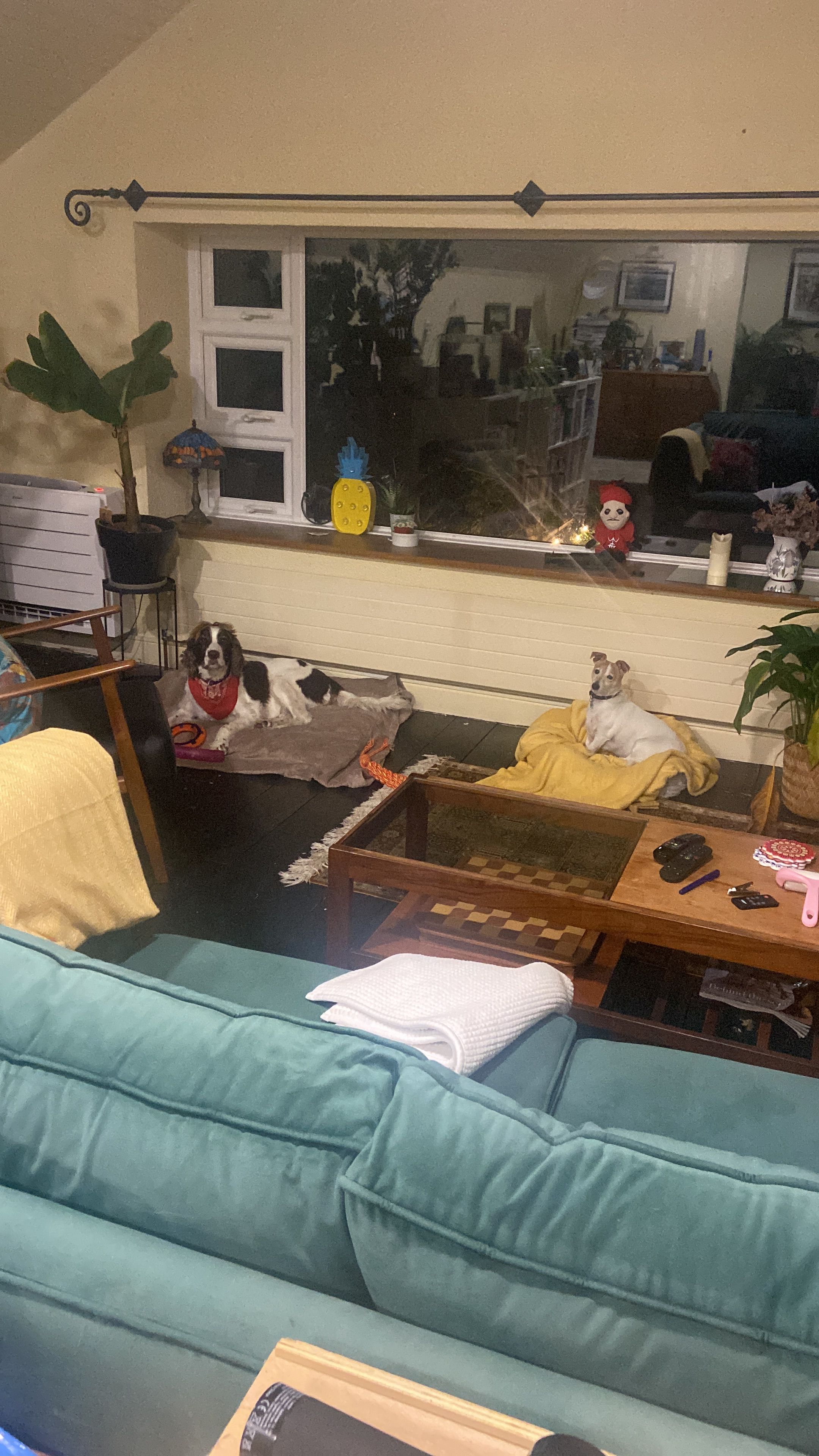 image-13