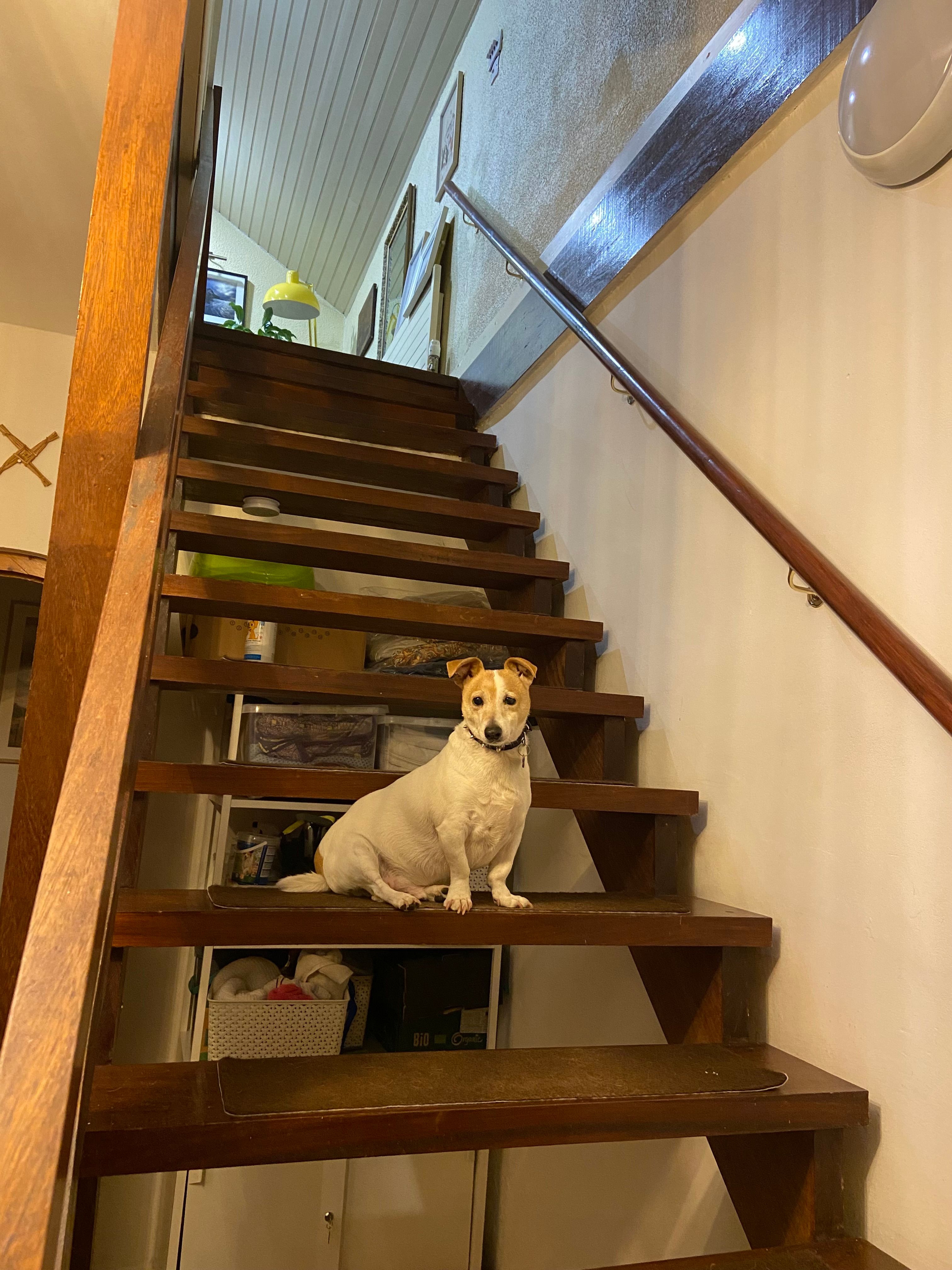 image-12