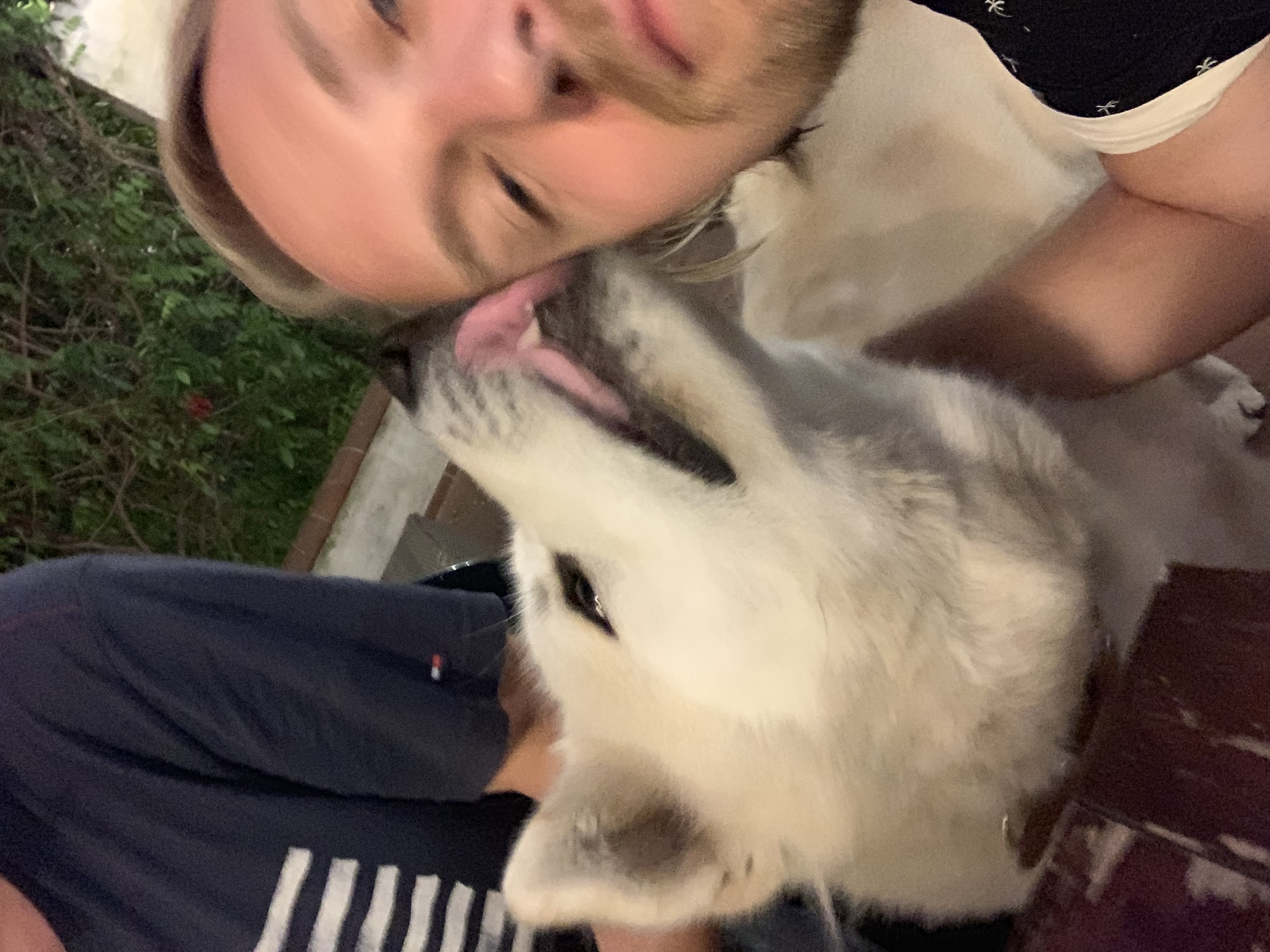 image-6