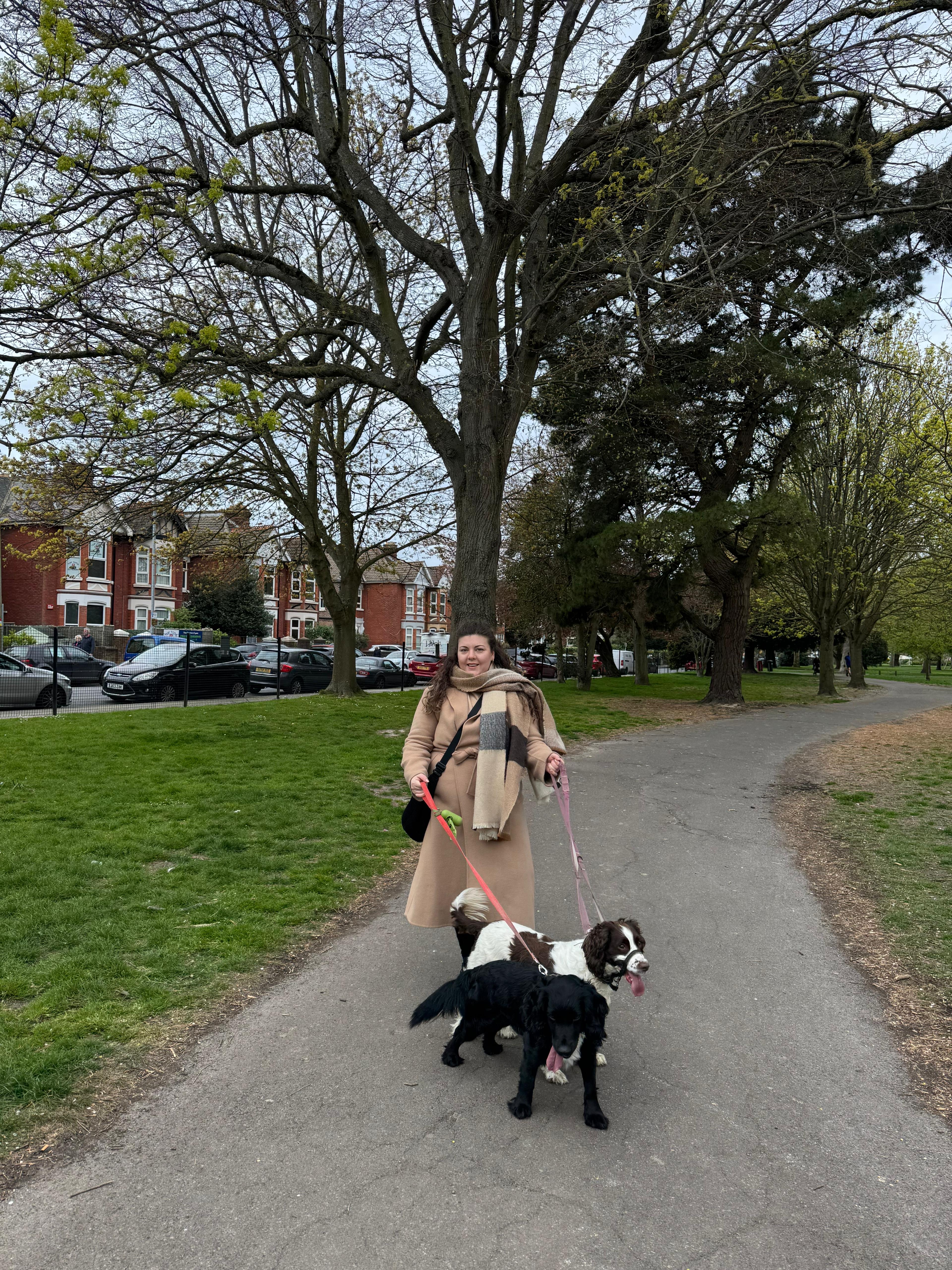 image-14