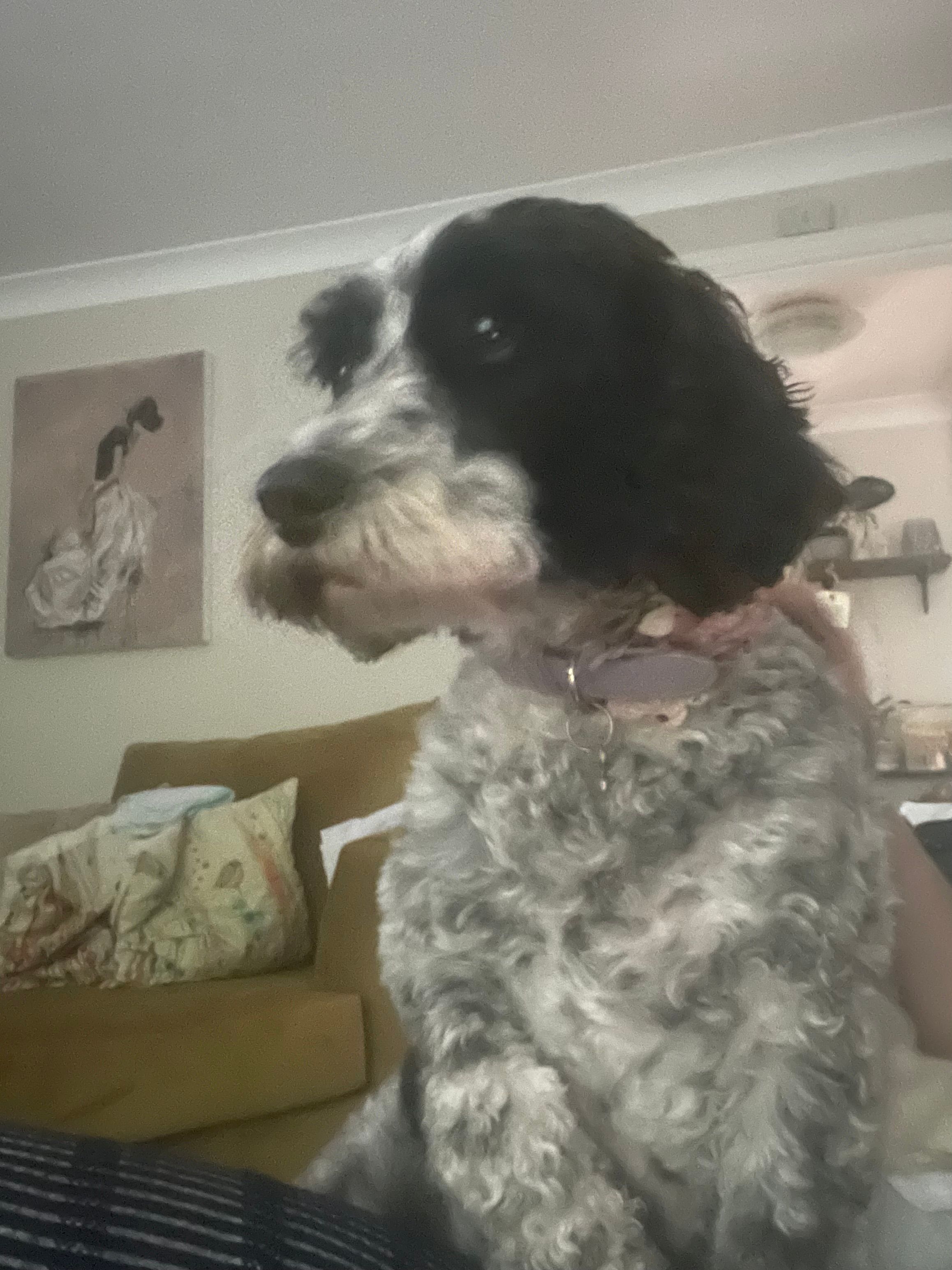 image-8