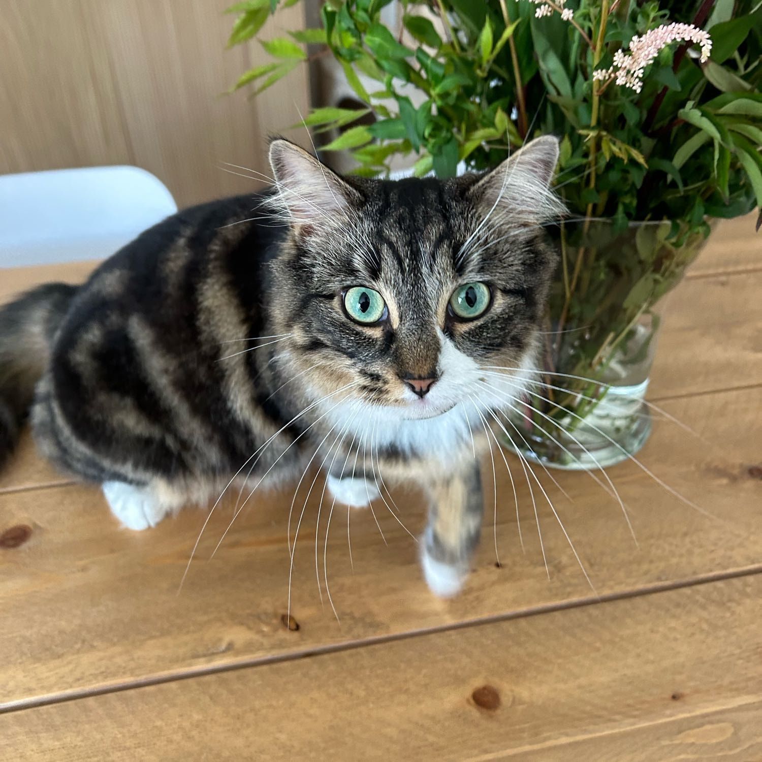 Millie