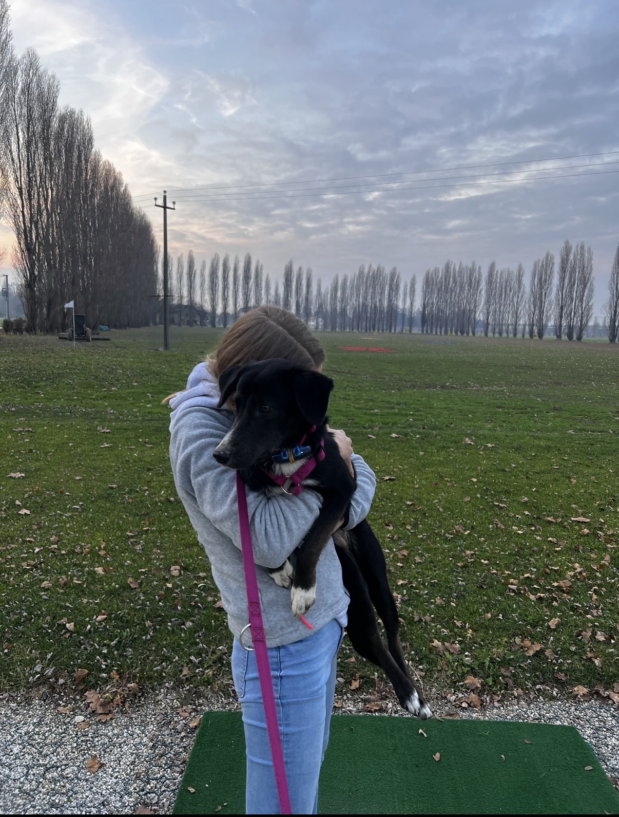 image-6