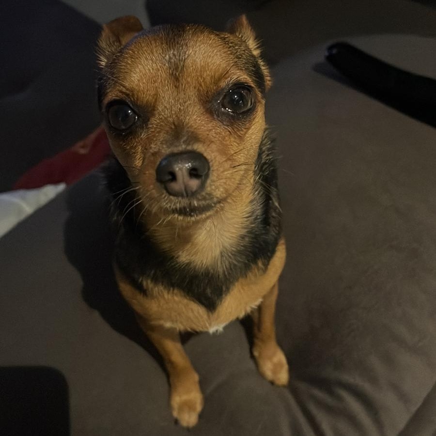 Juju