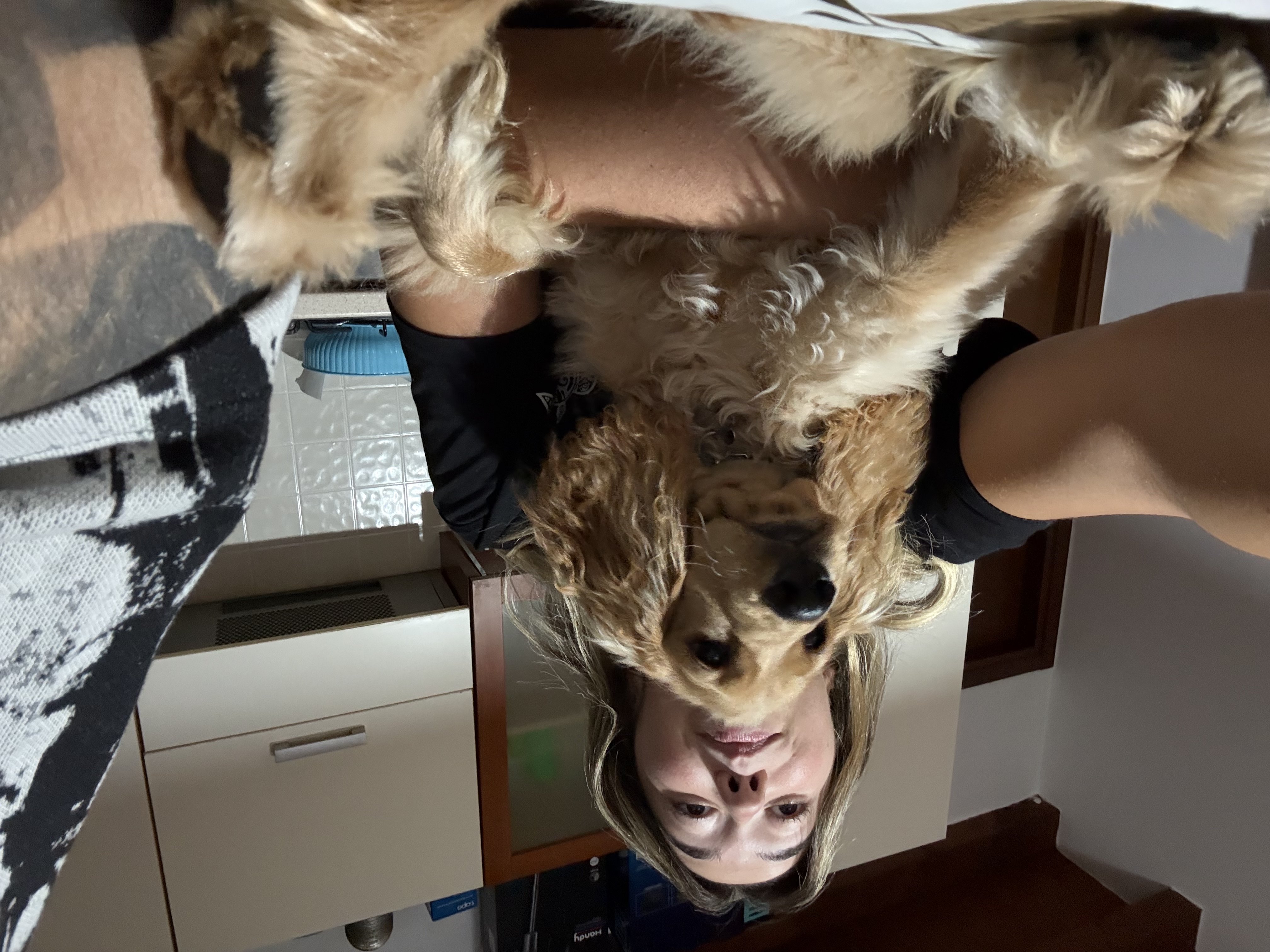 image-4