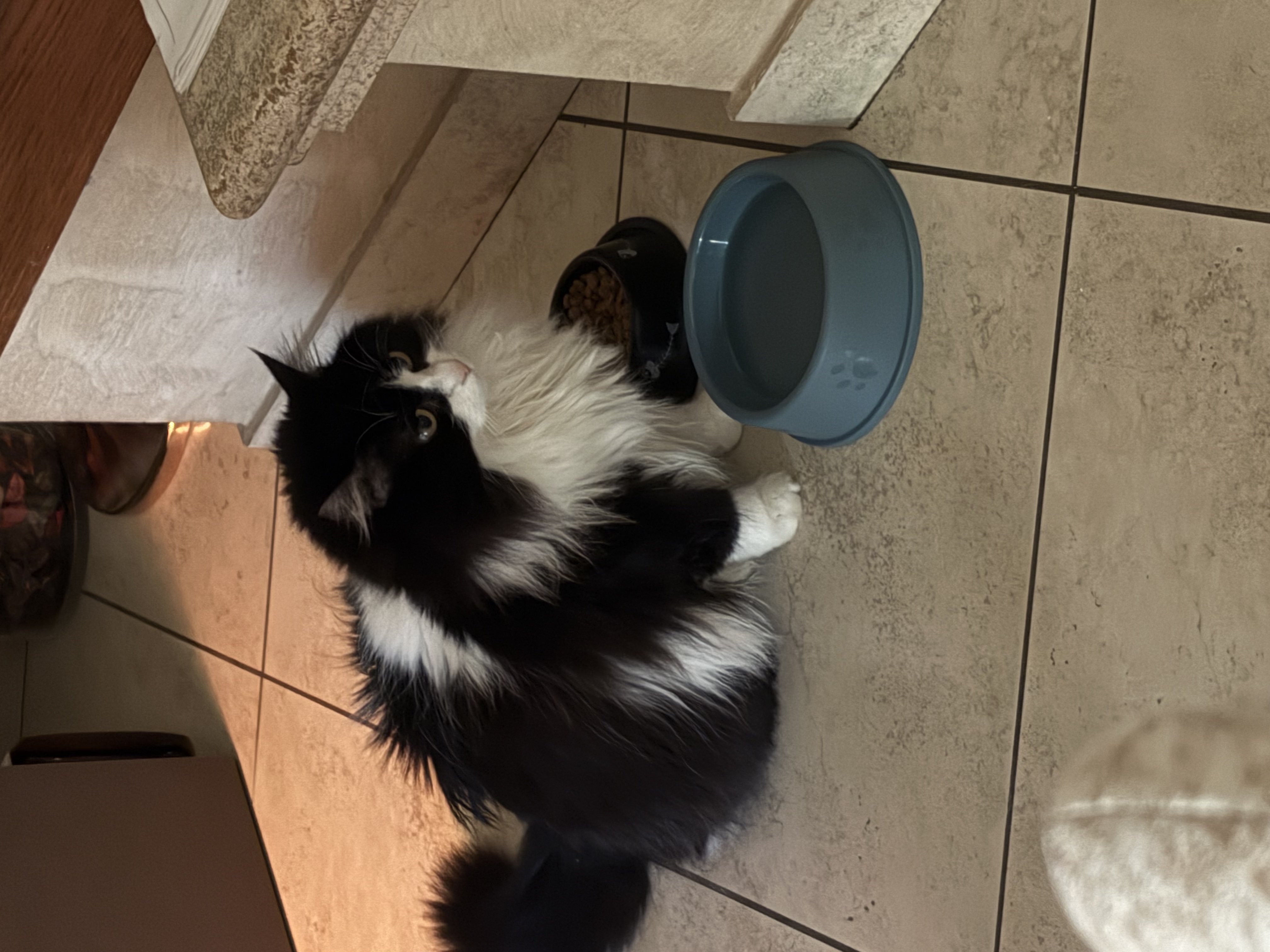 image-7