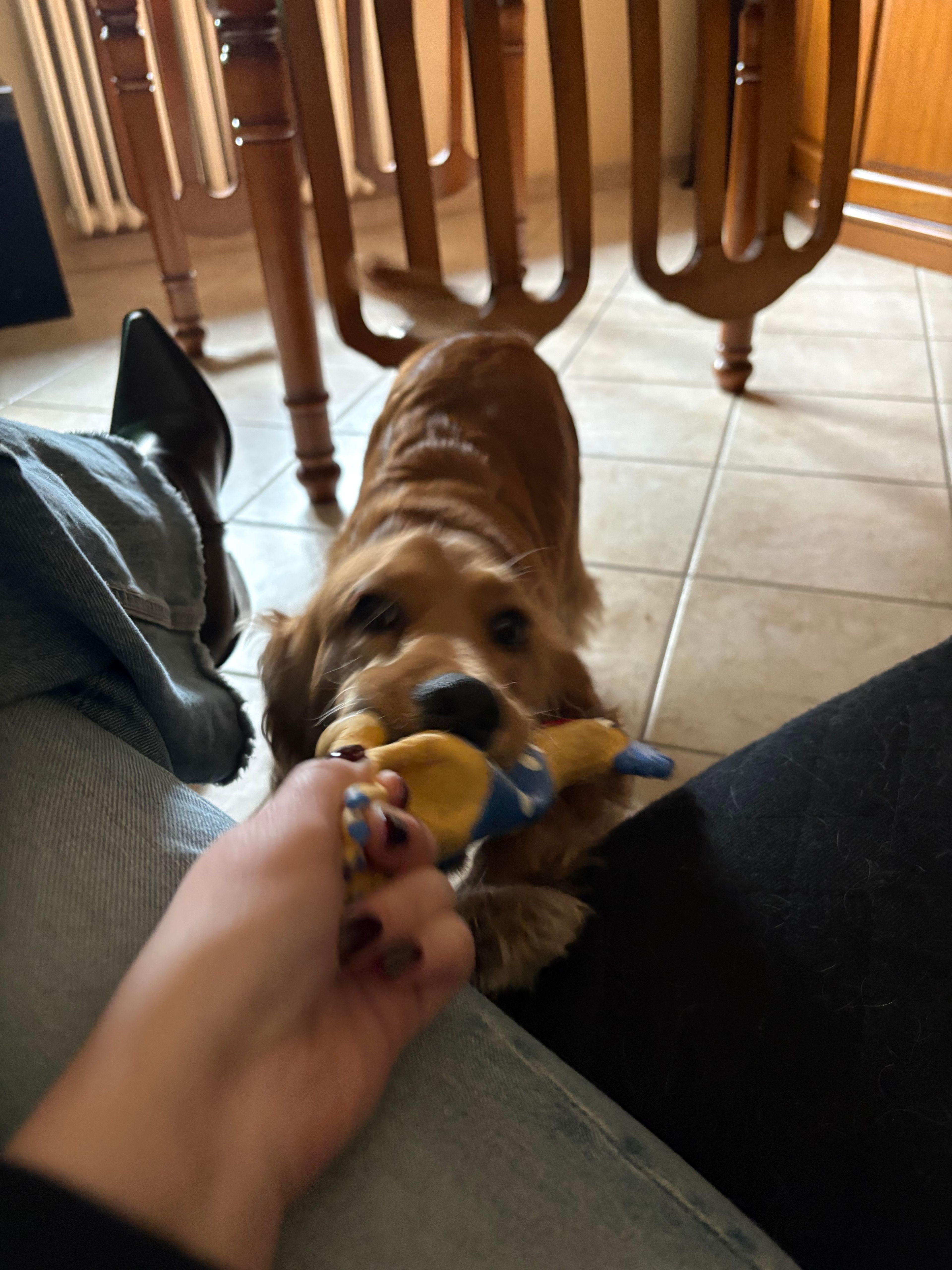 image-8