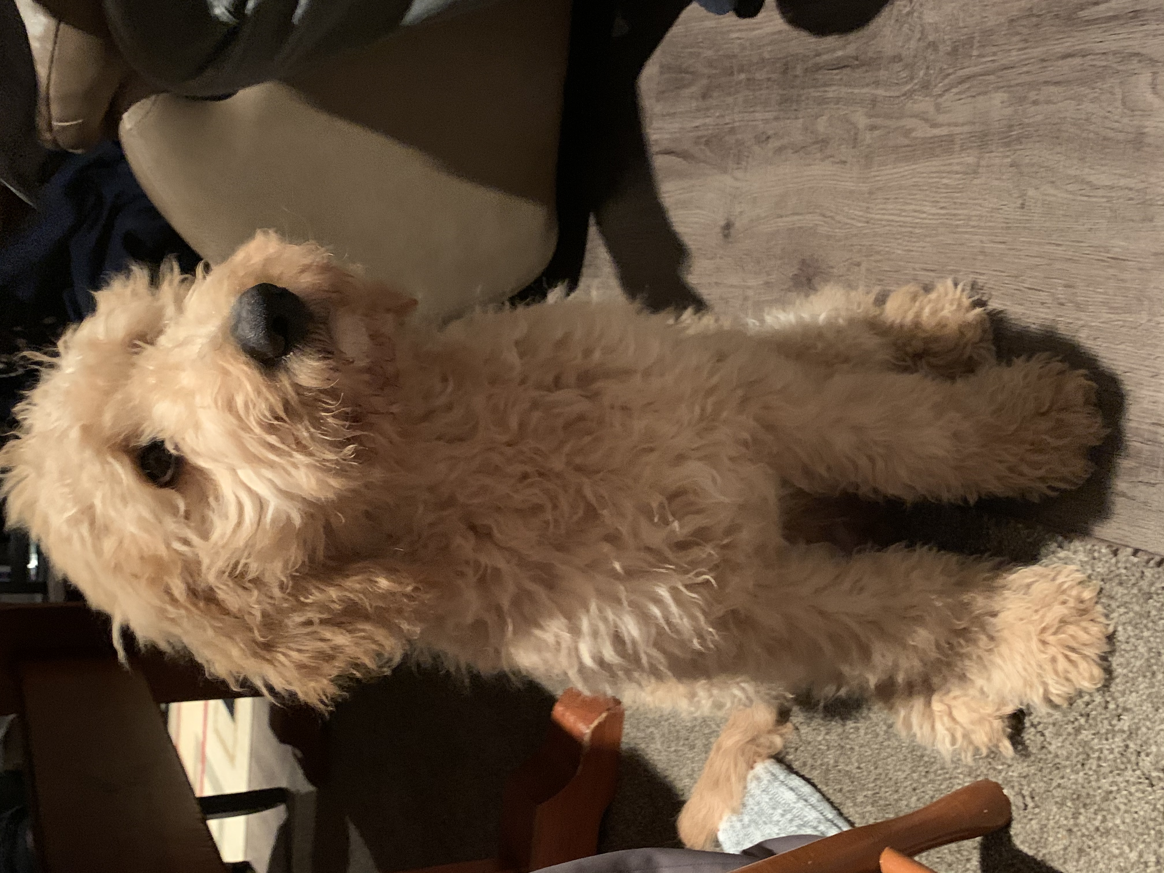 image-11