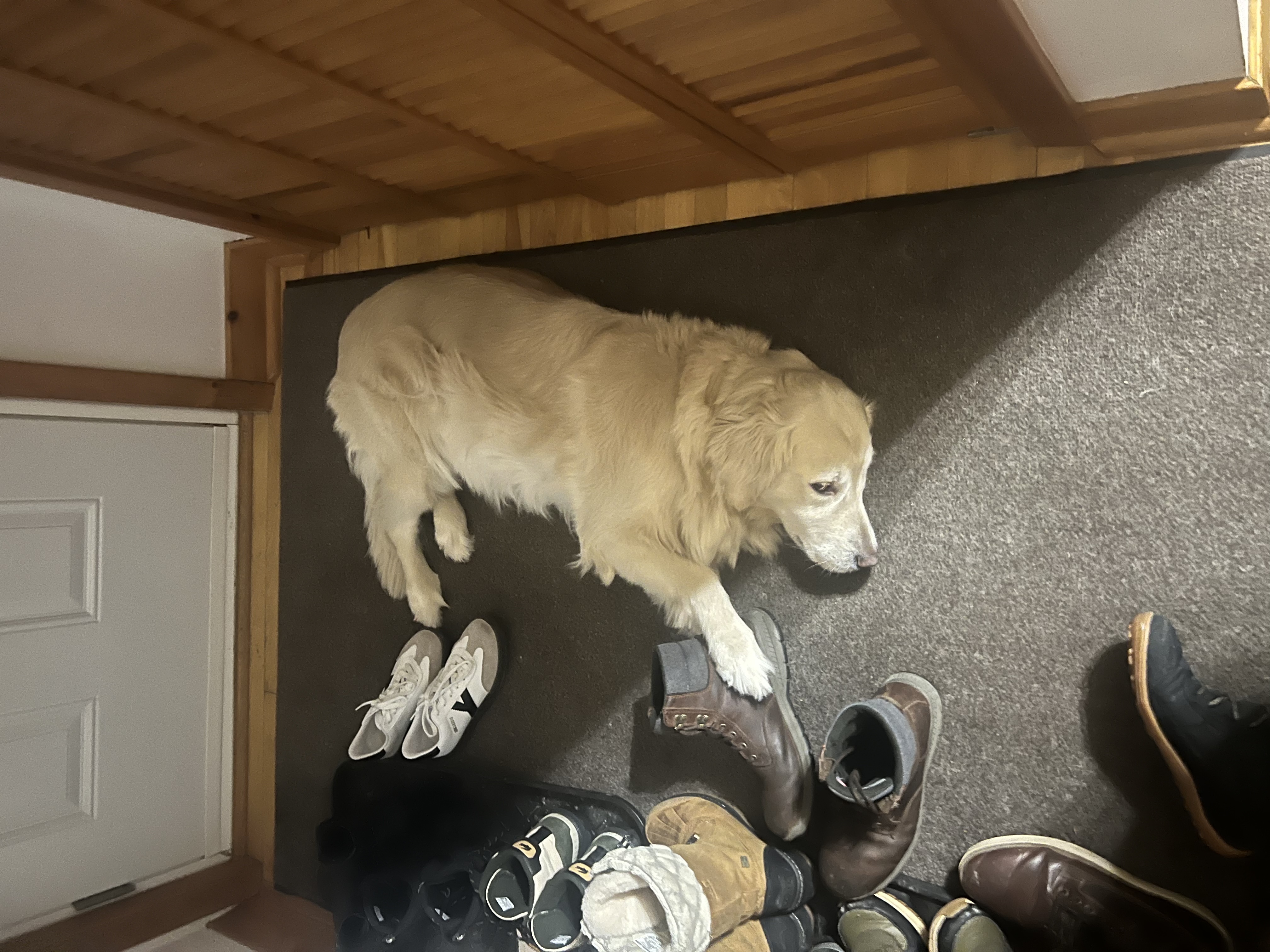image-8
