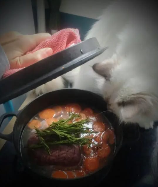 image-7