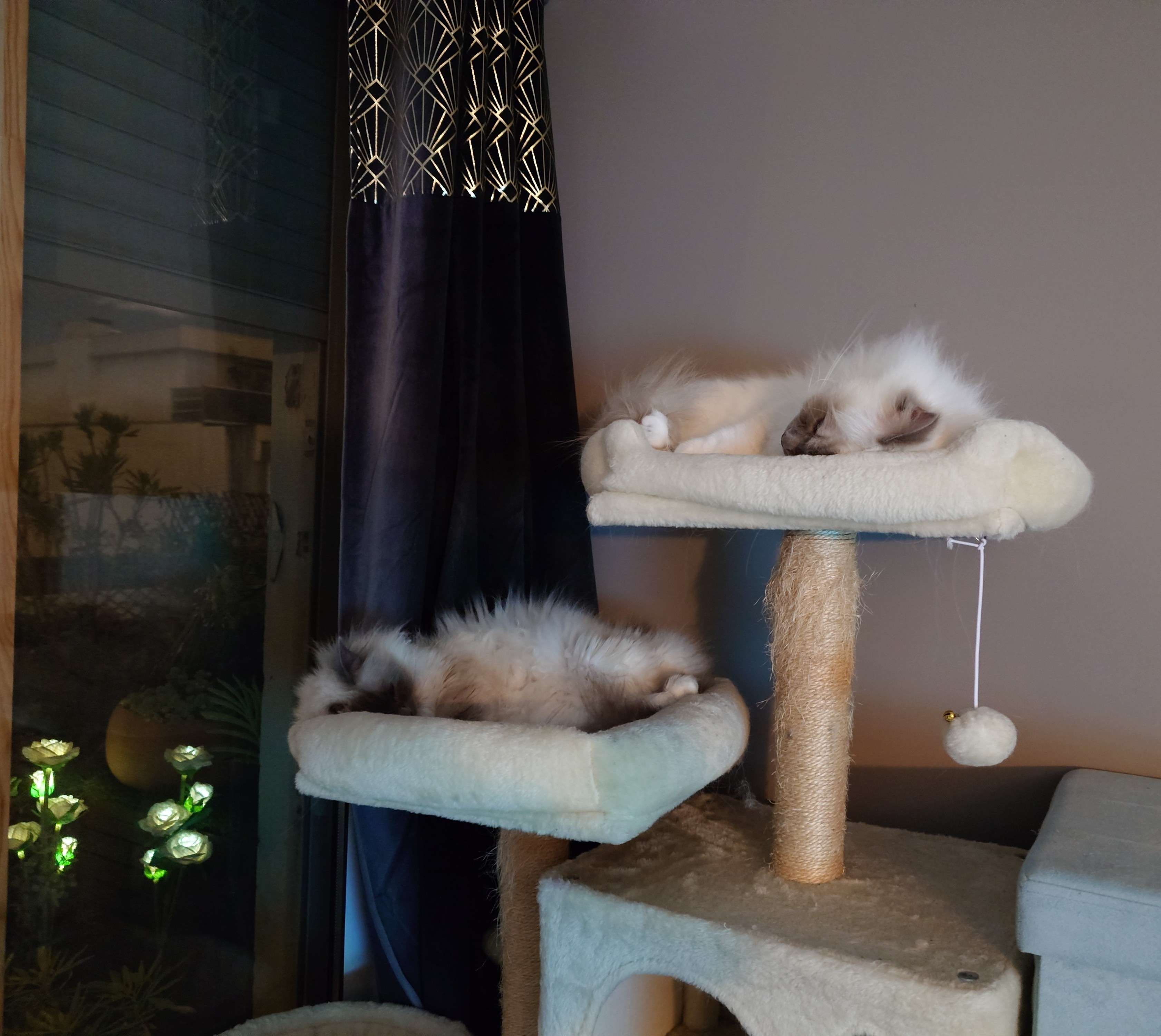 image-10