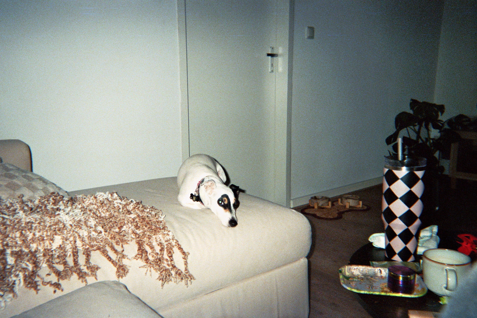 image-15